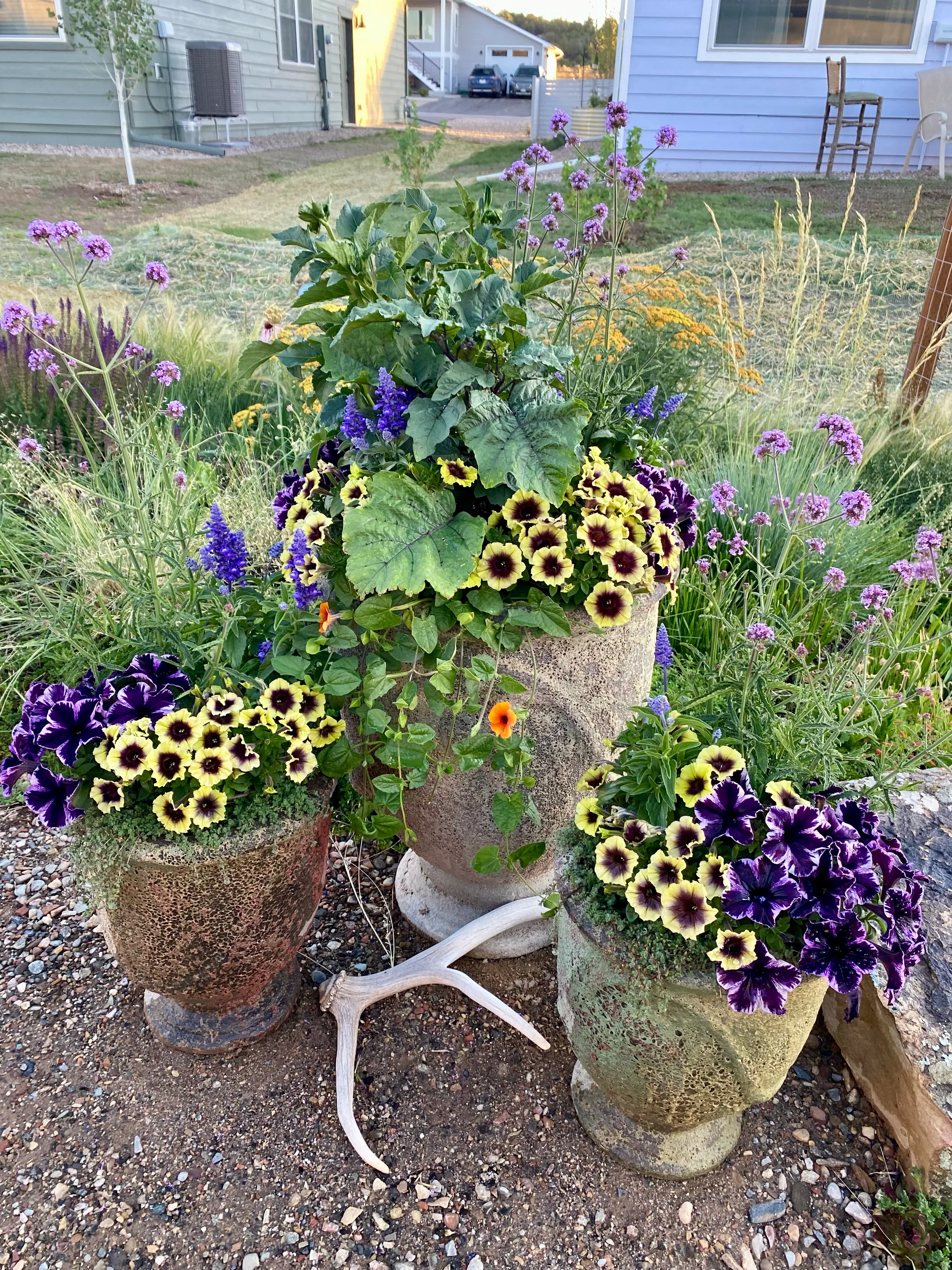 Containers — gallery photograph 5 of 12