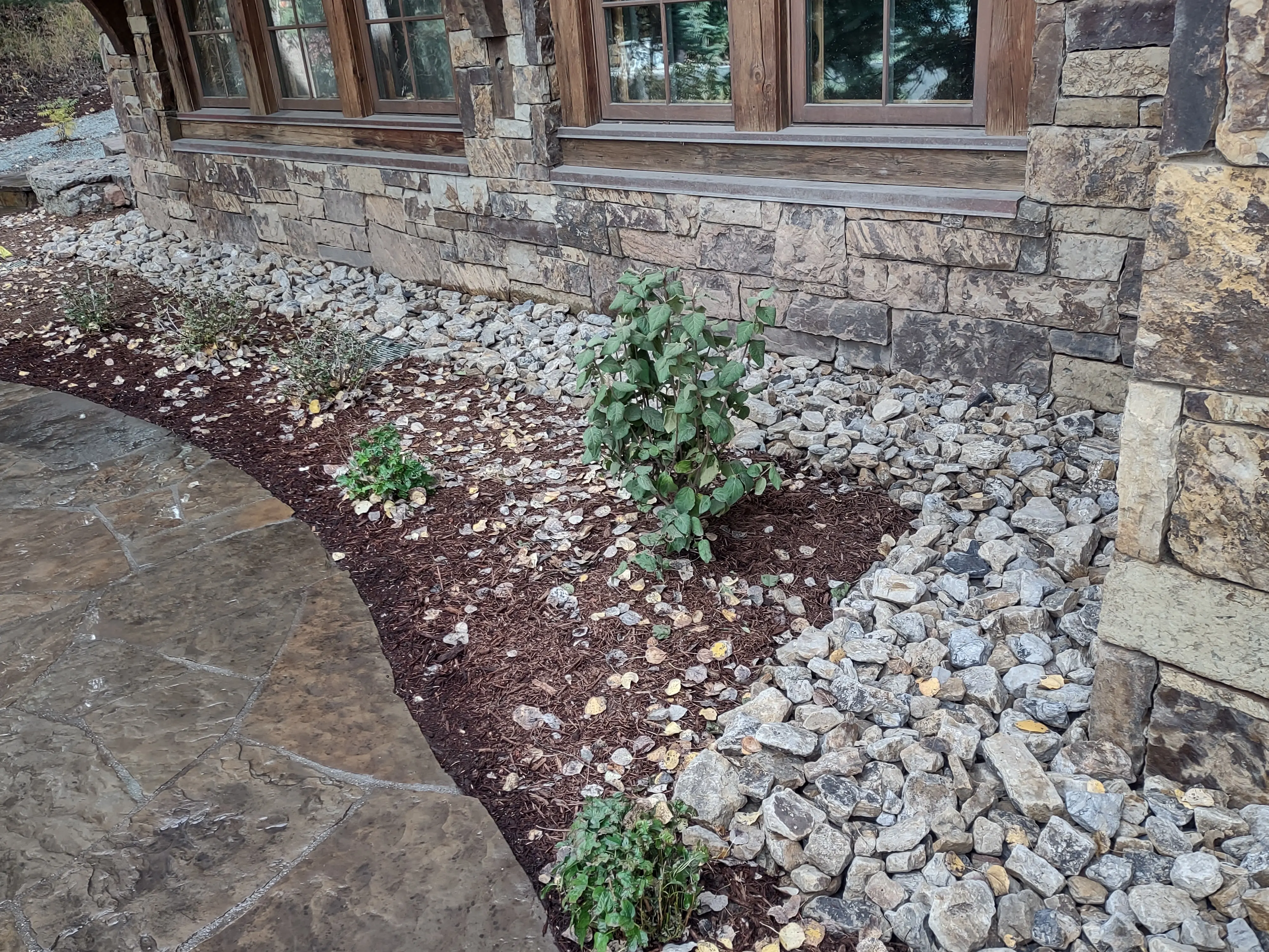 Fire Mitigation — gallery photograph 3 of 5