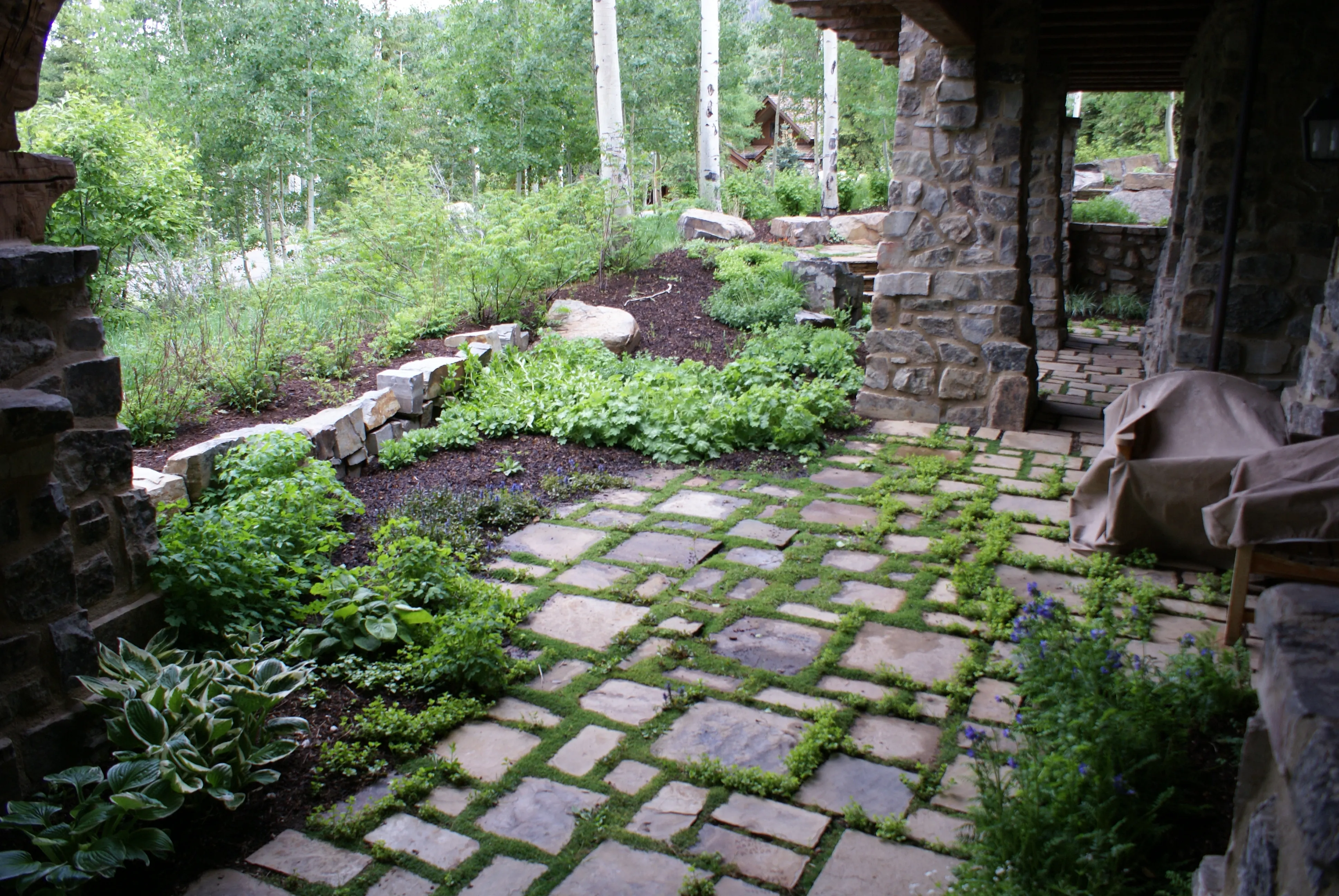 Fire Mitigation — gallery photograph 5 of 5