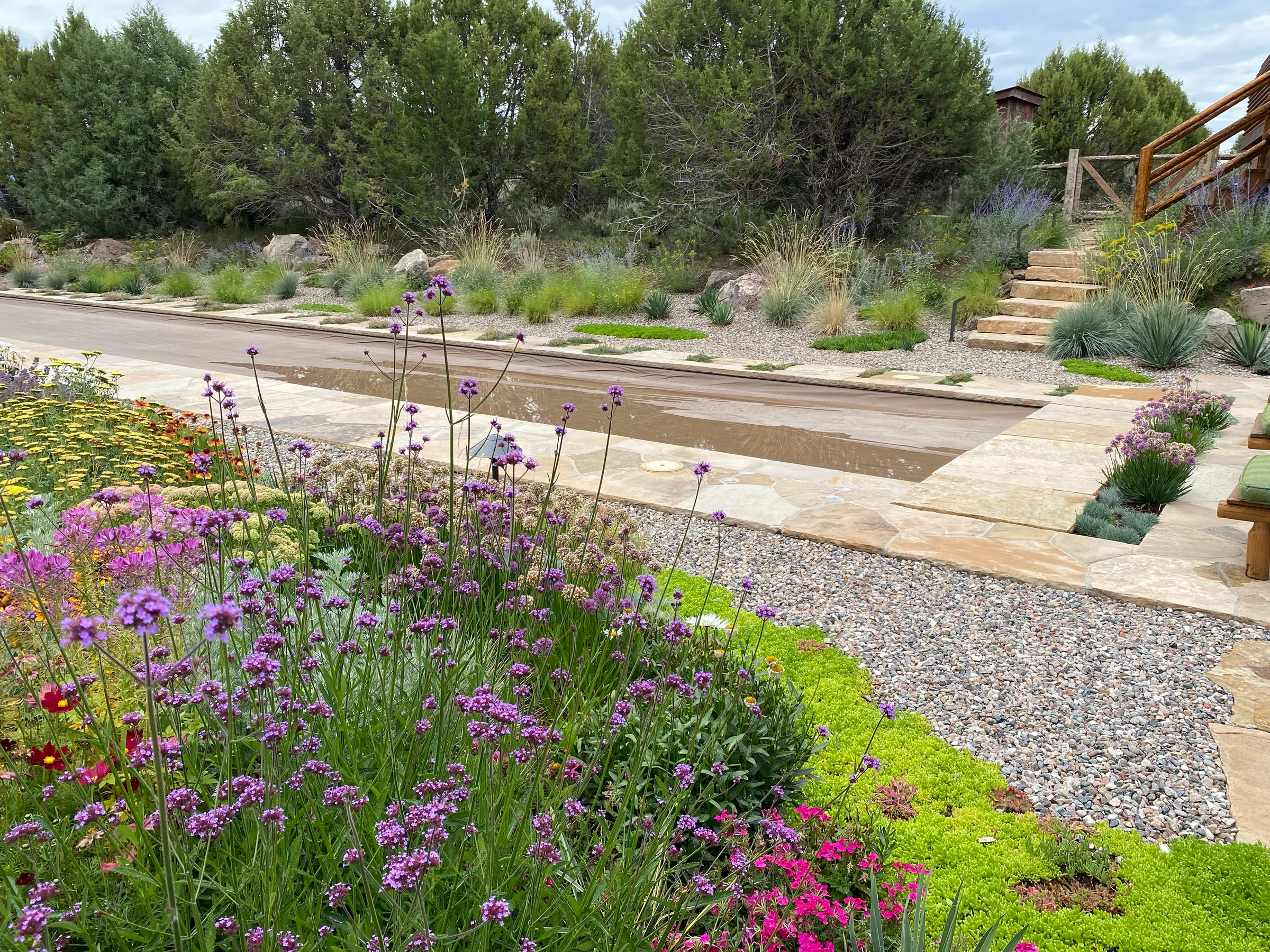 Gardens — gallery photograph 5 of 26