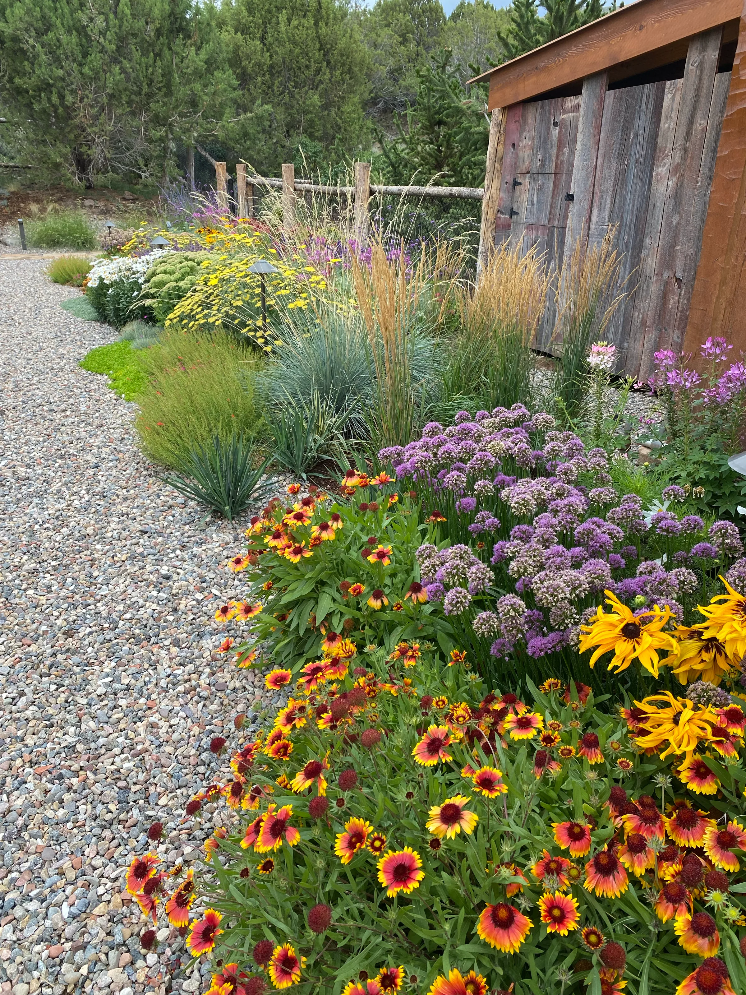 Gardens — gallery photograph 7 of 26