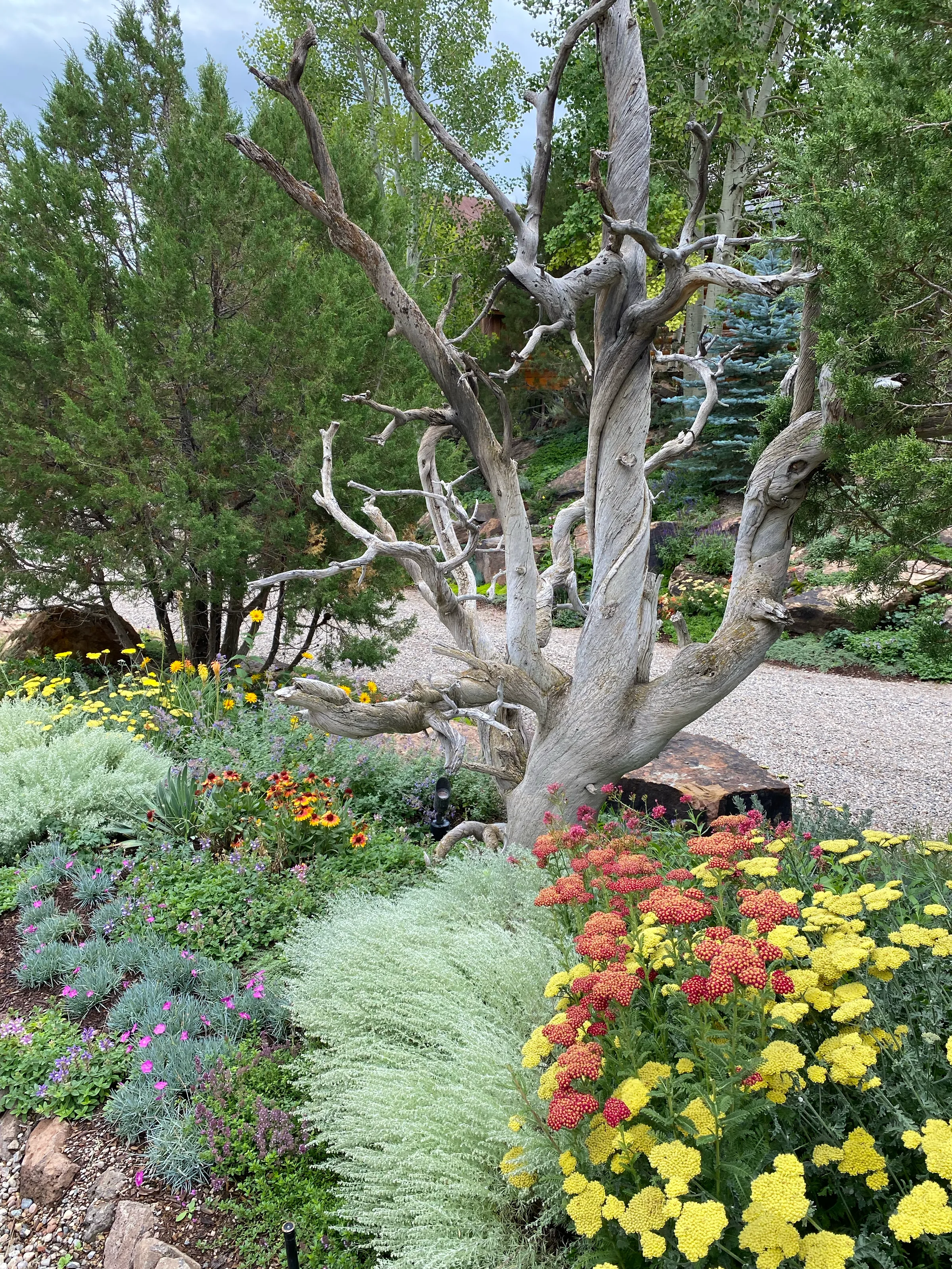 Gardens — gallery photograph 8 of 26