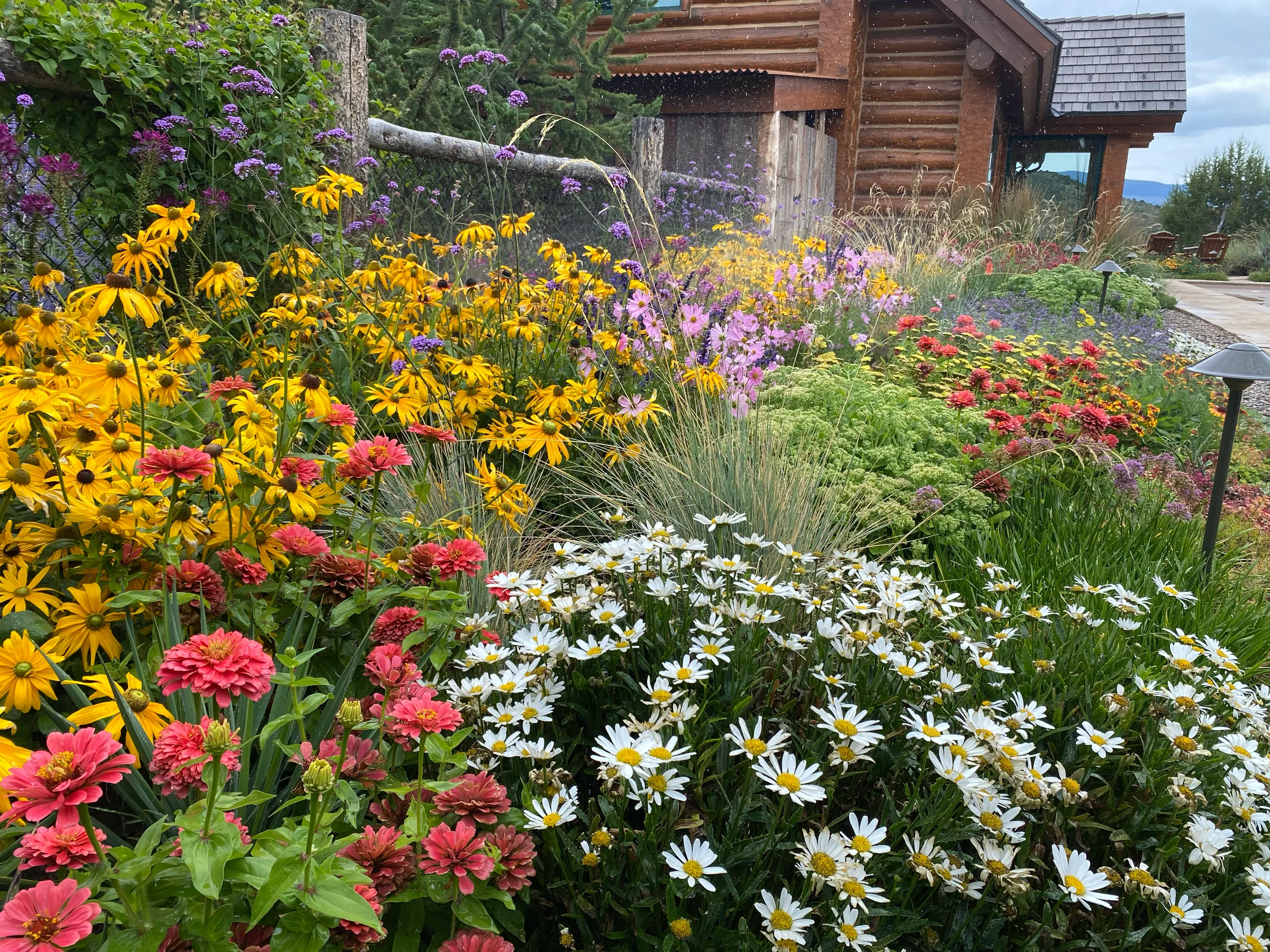 Gardens — gallery photograph 11 of 26