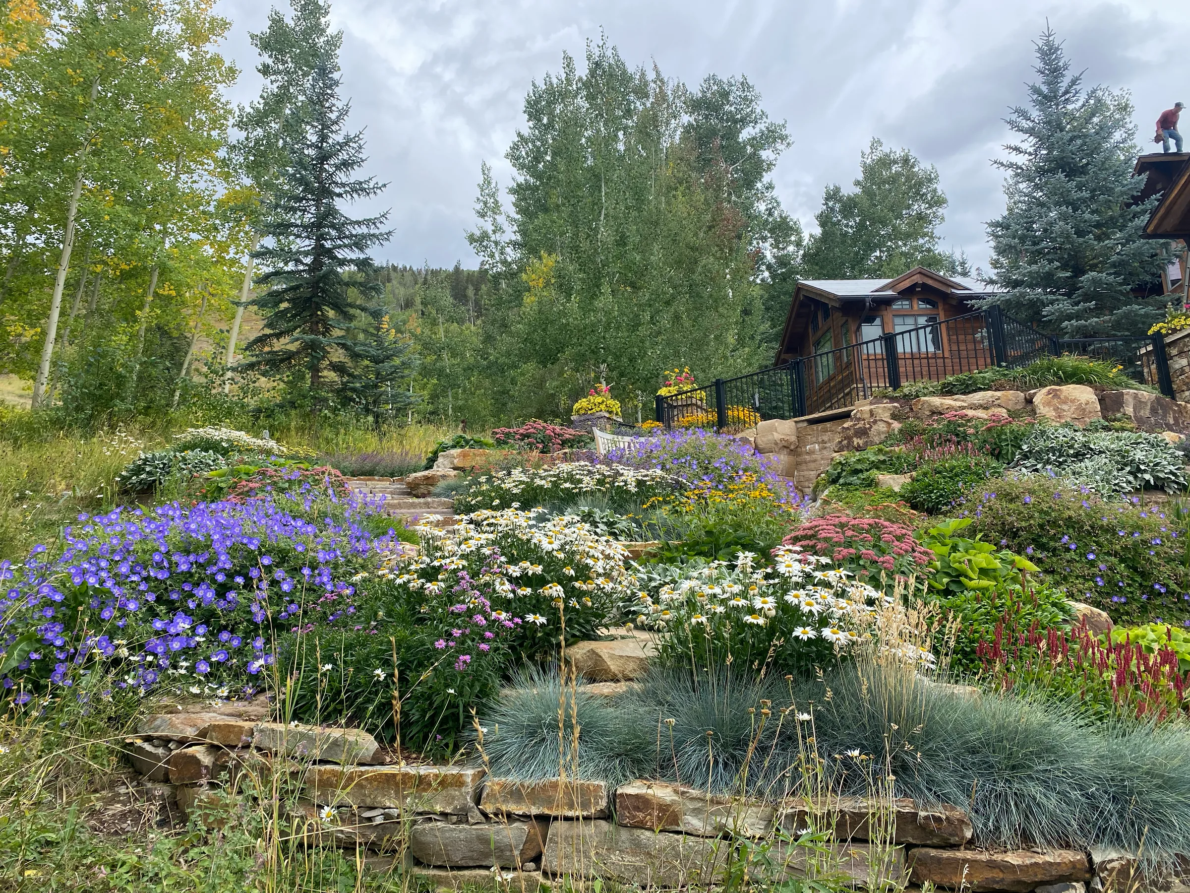 Gardens — gallery photograph 17 of 26