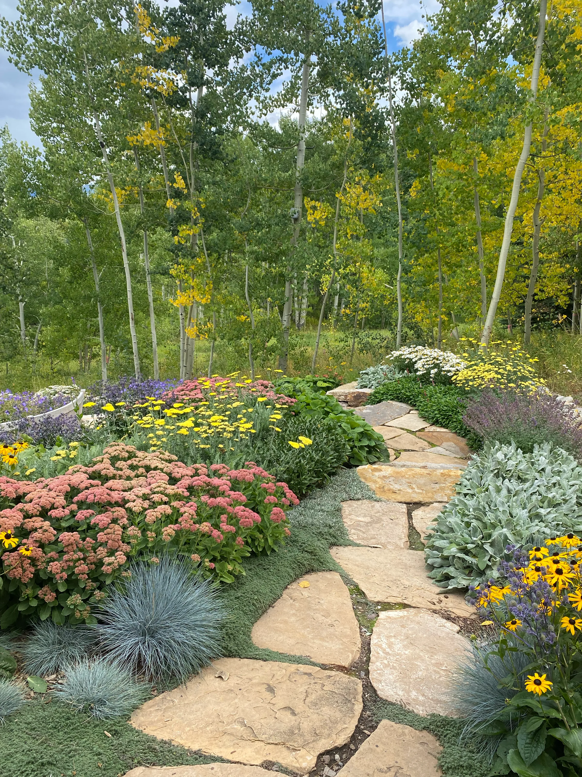 Gardens — gallery photograph 18 of 26