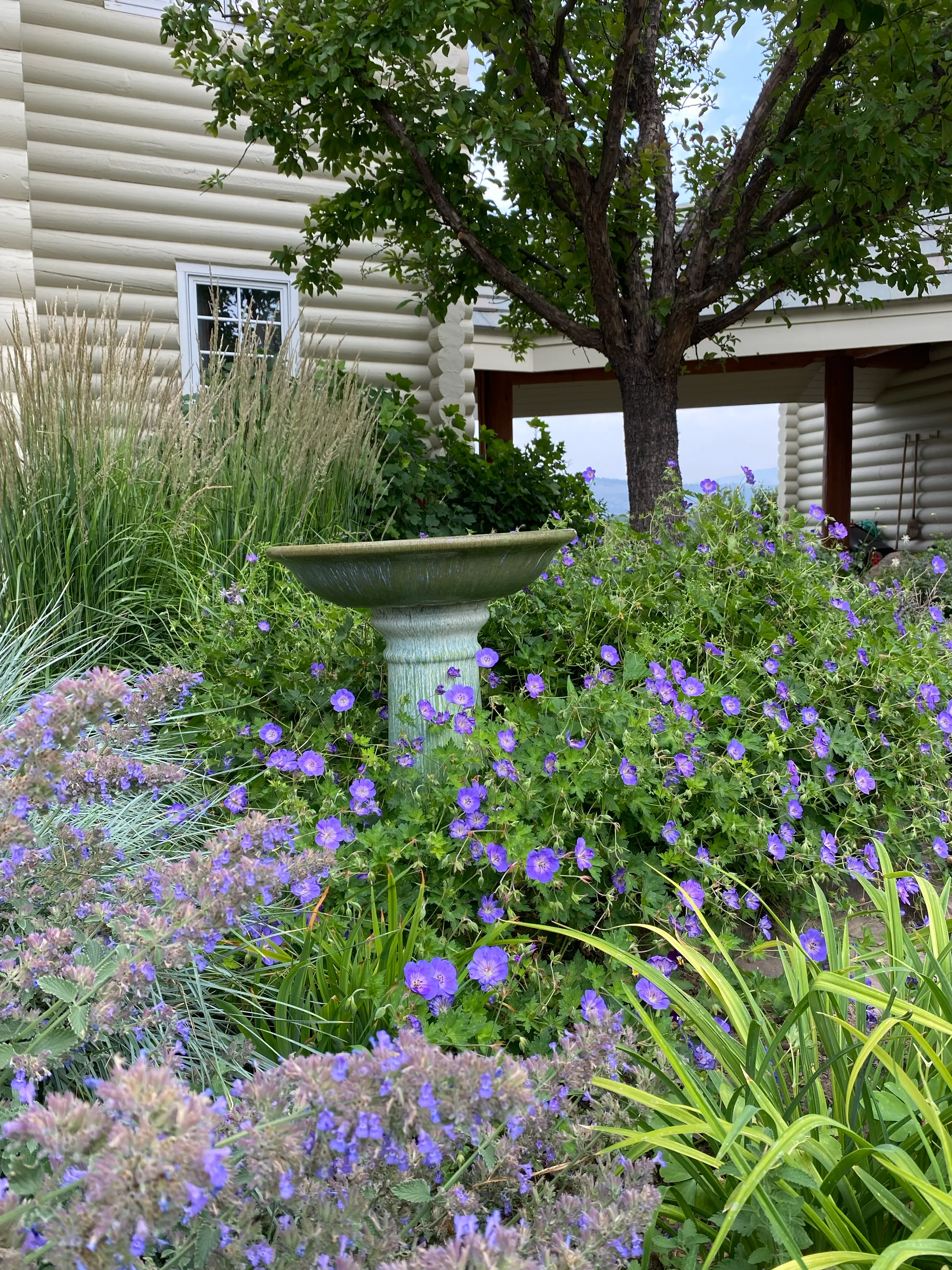 Gardens — gallery photograph 19 of 26