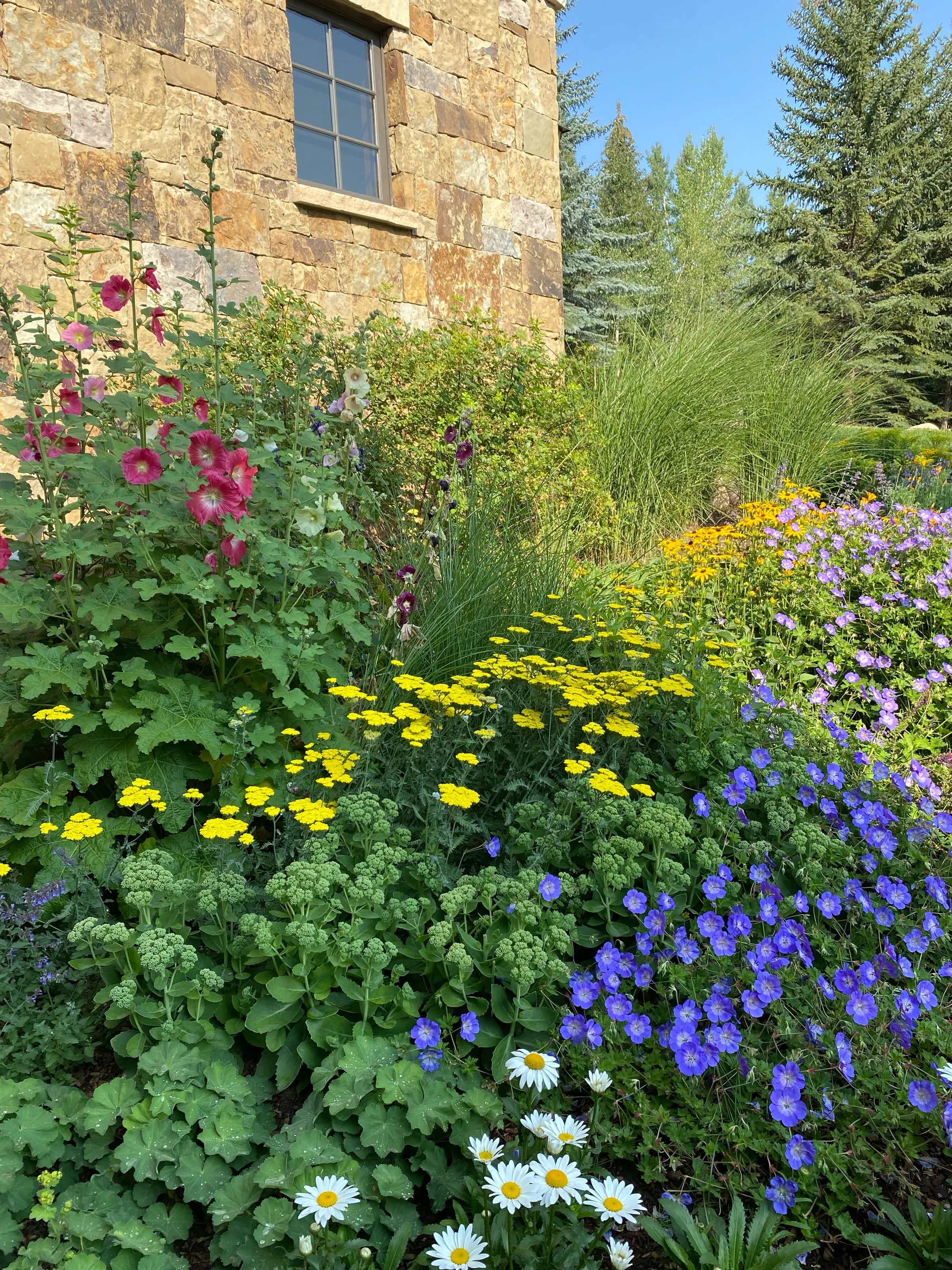 Gardens — gallery photograph 20 of 26