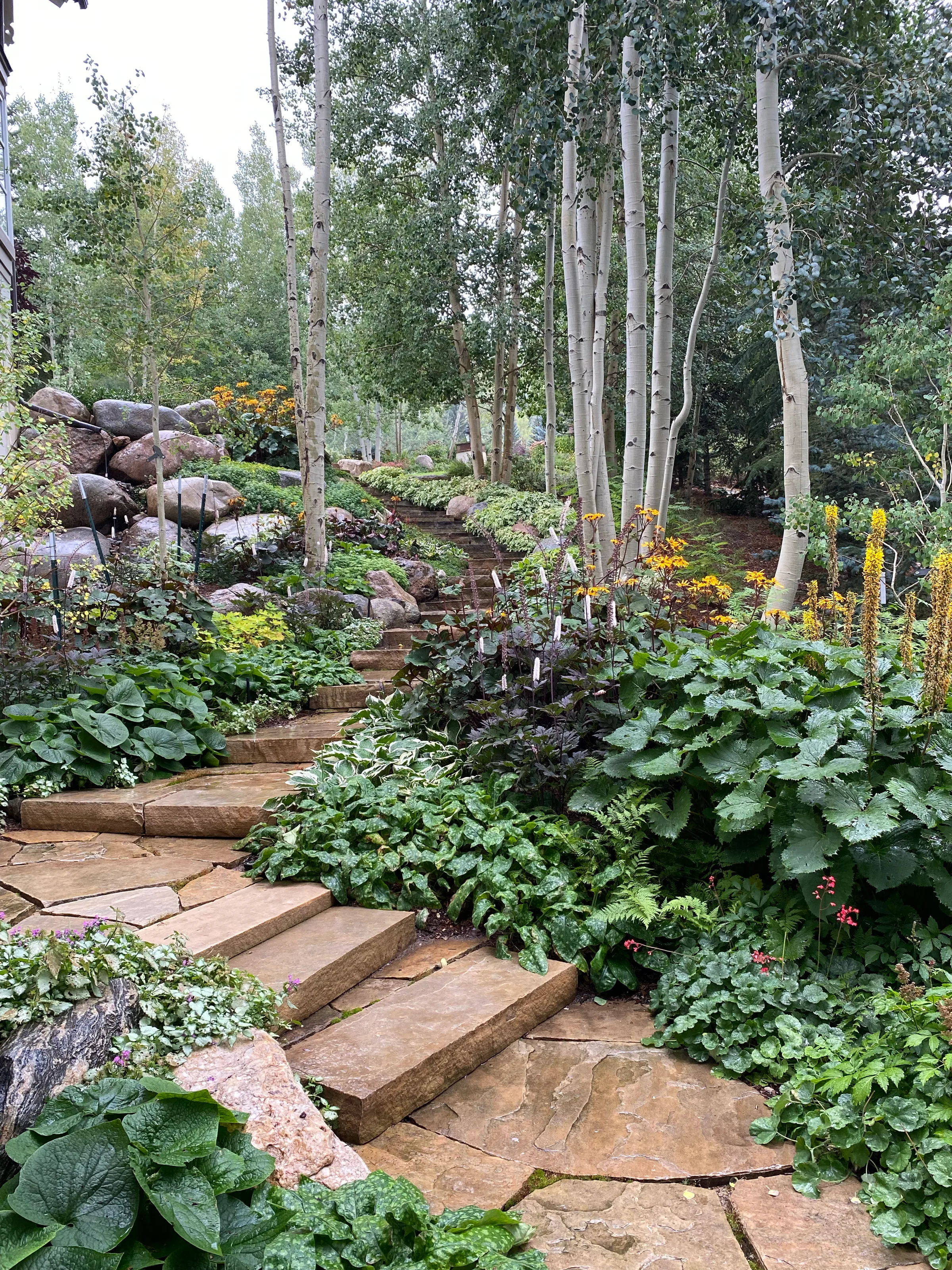 Gardens — gallery photograph 21 of 26