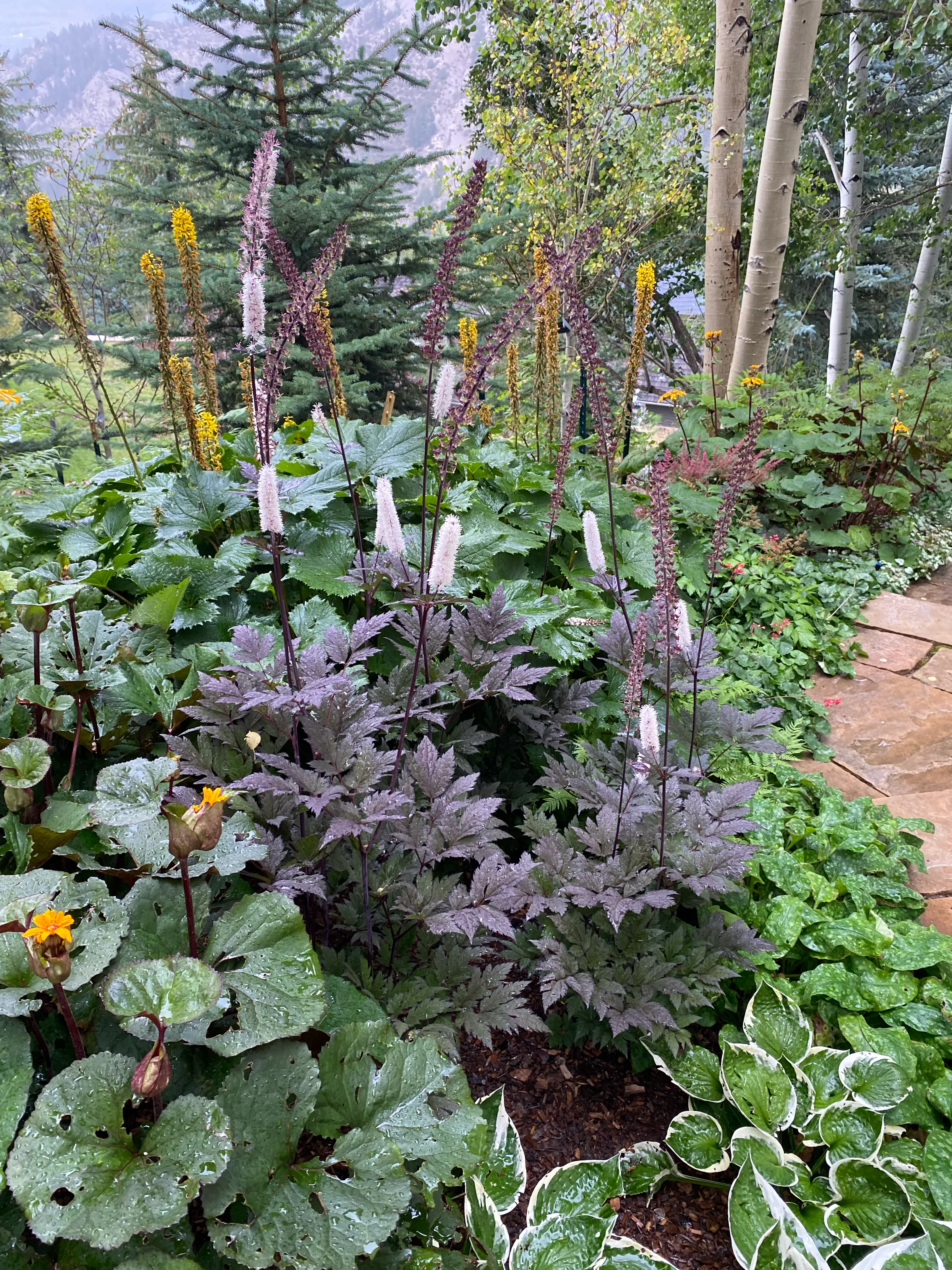 Gardens — gallery photograph 22 of 26