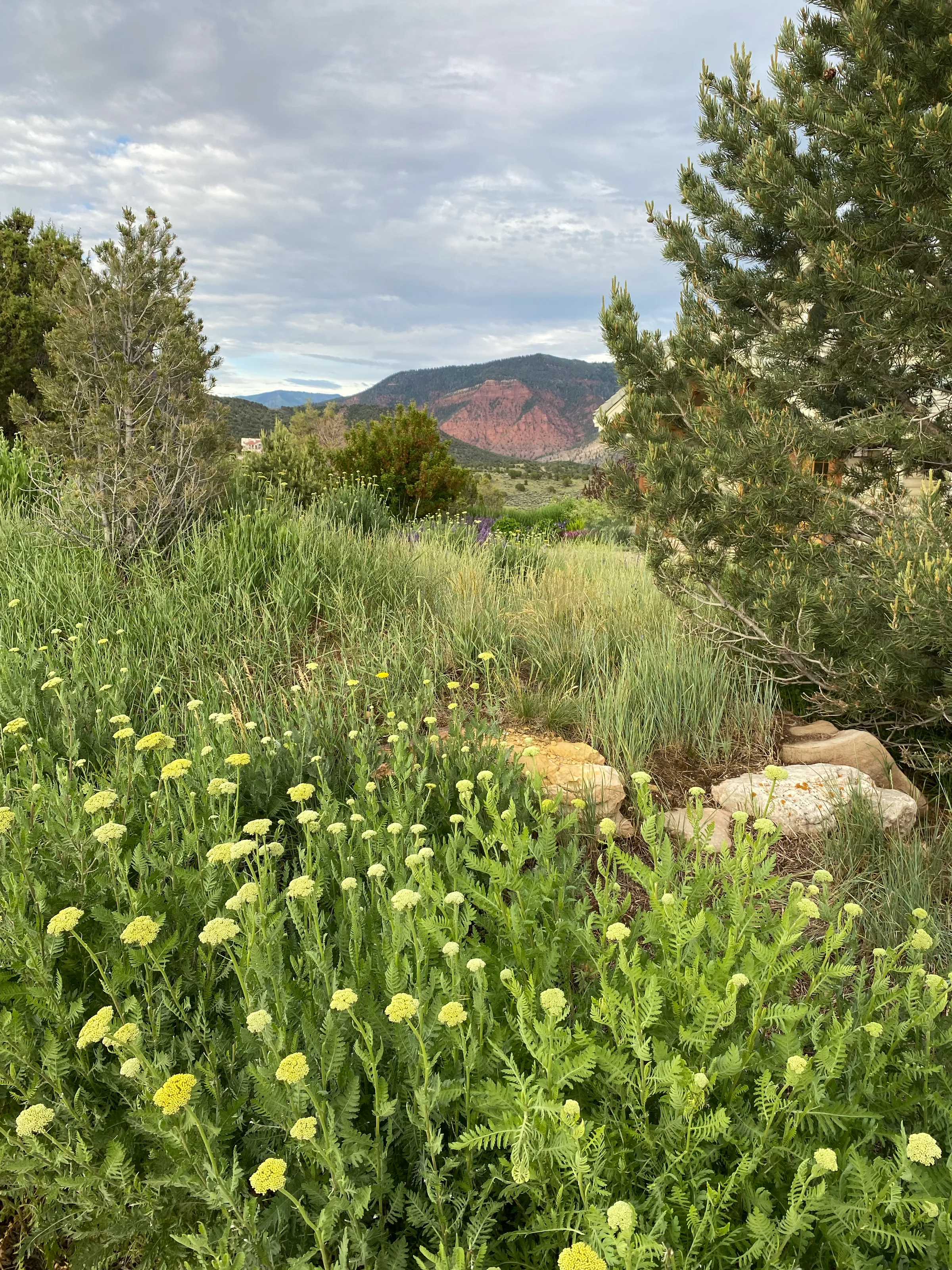 Natural Landscape — gallery photograph 3 of 18