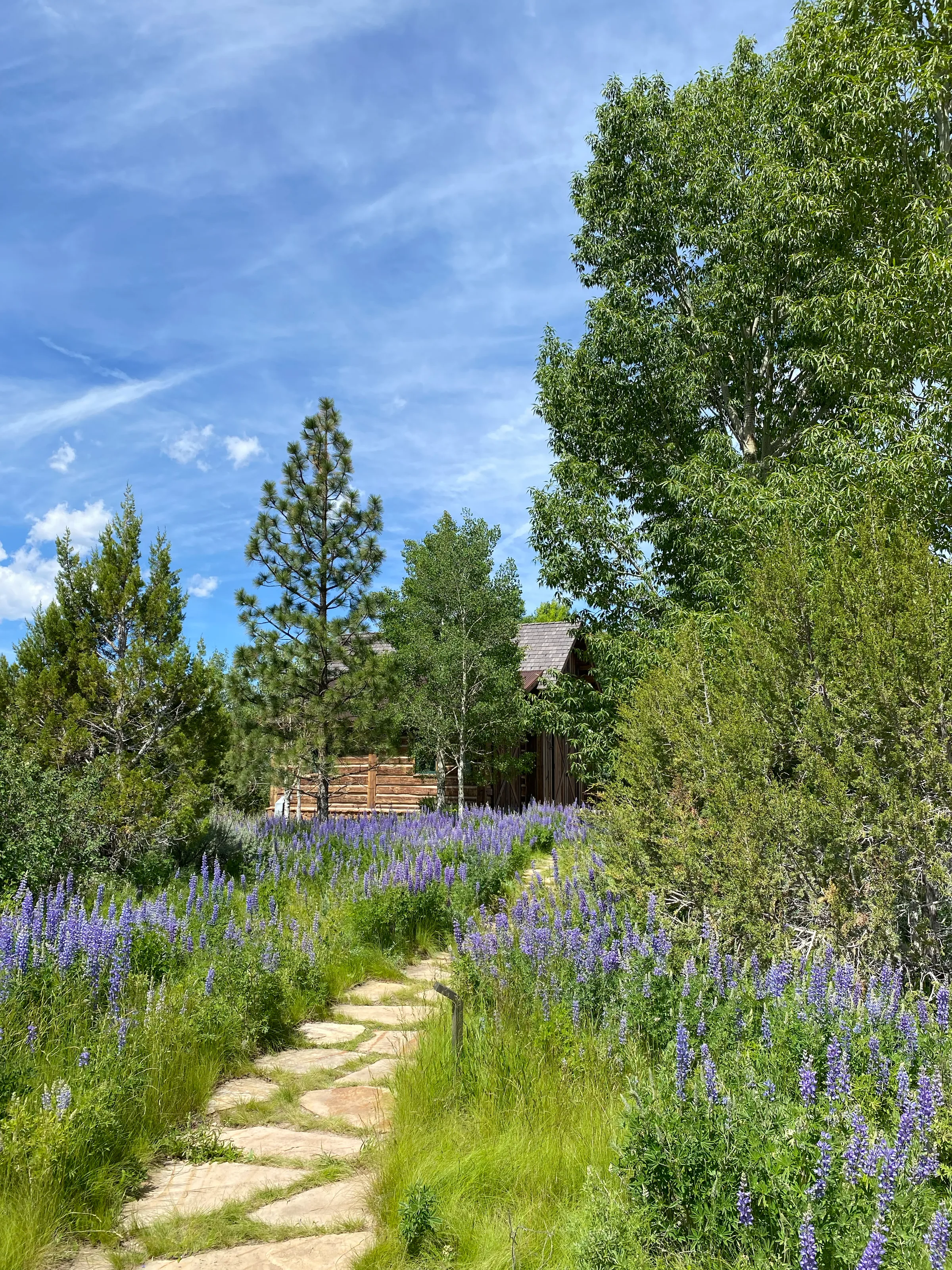 Natural Landscape — gallery photograph 8 of 18