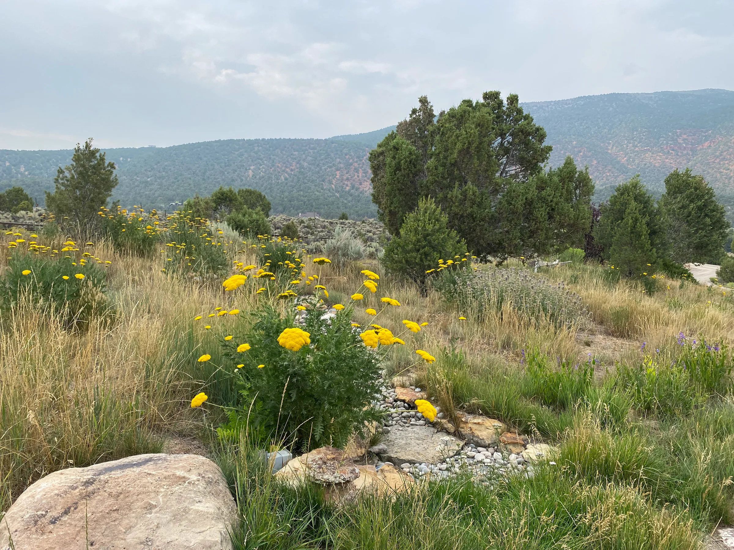 Natural Landscape — gallery photograph 9 of 18