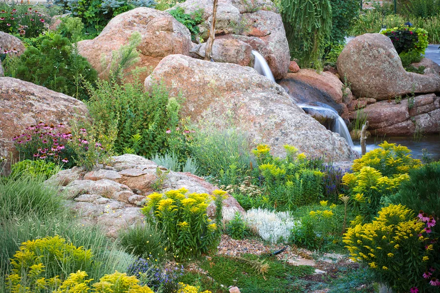 Natural Landscape — gallery photograph 11 of 18