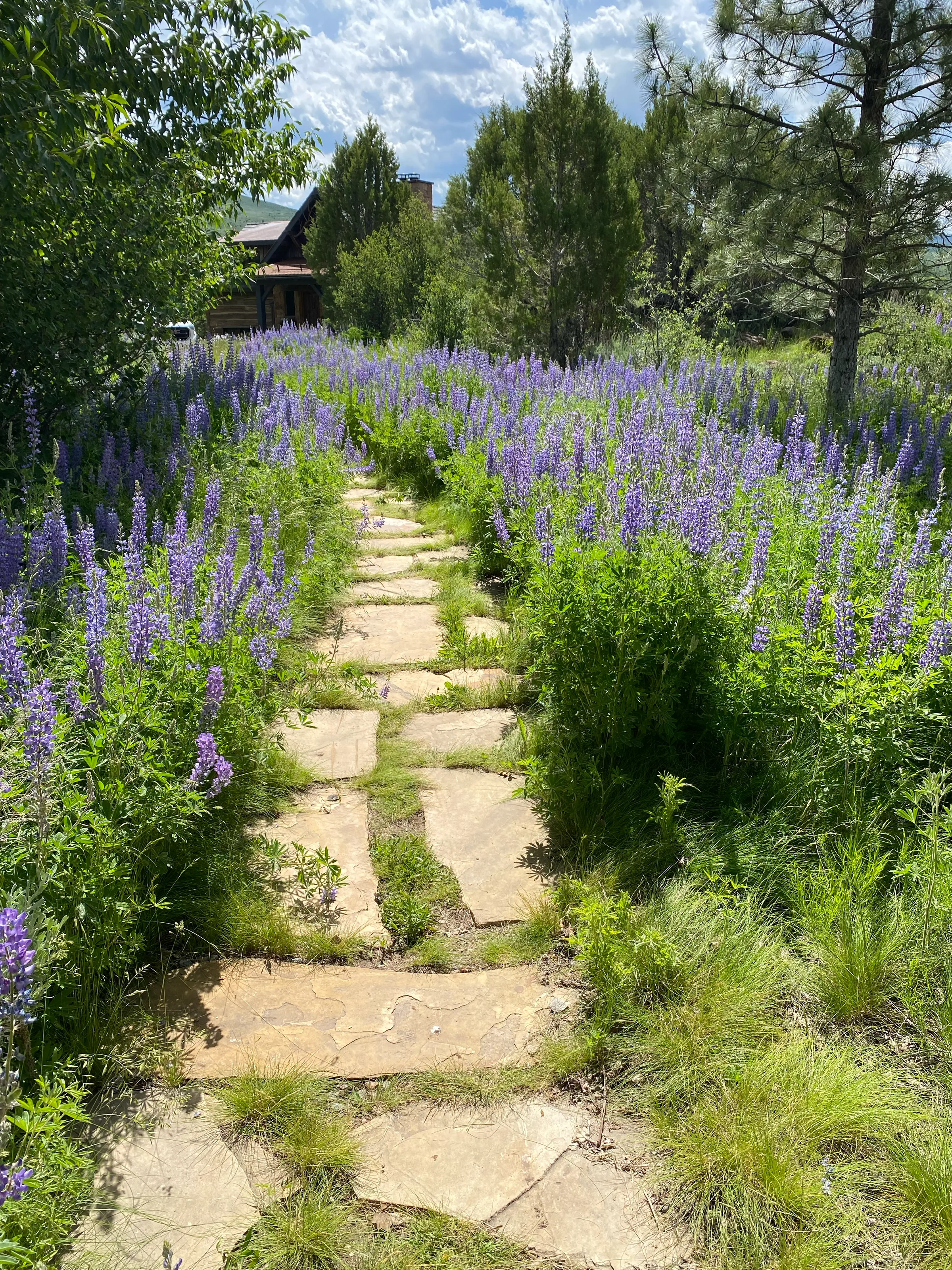 Natural Landscape — gallery photograph 16 of 18