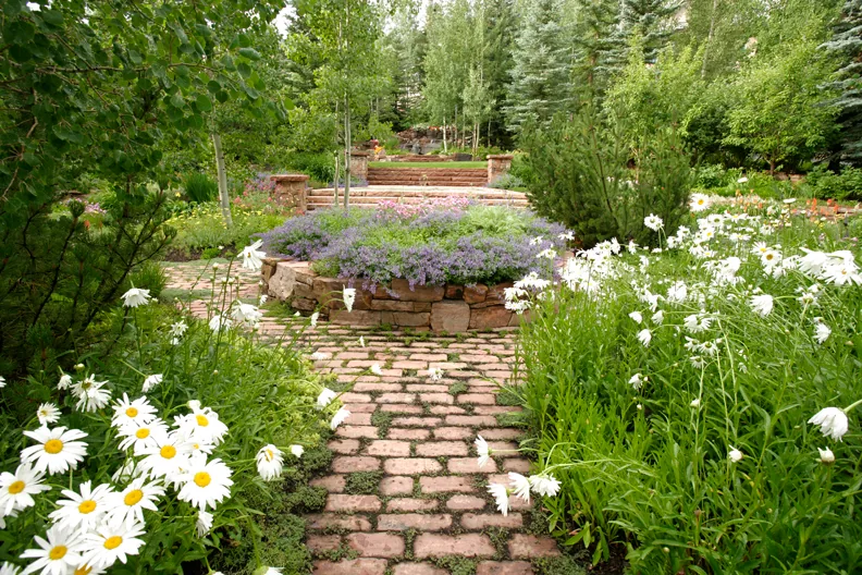 Stairs & Pathways — gallery photograph 13 of 16