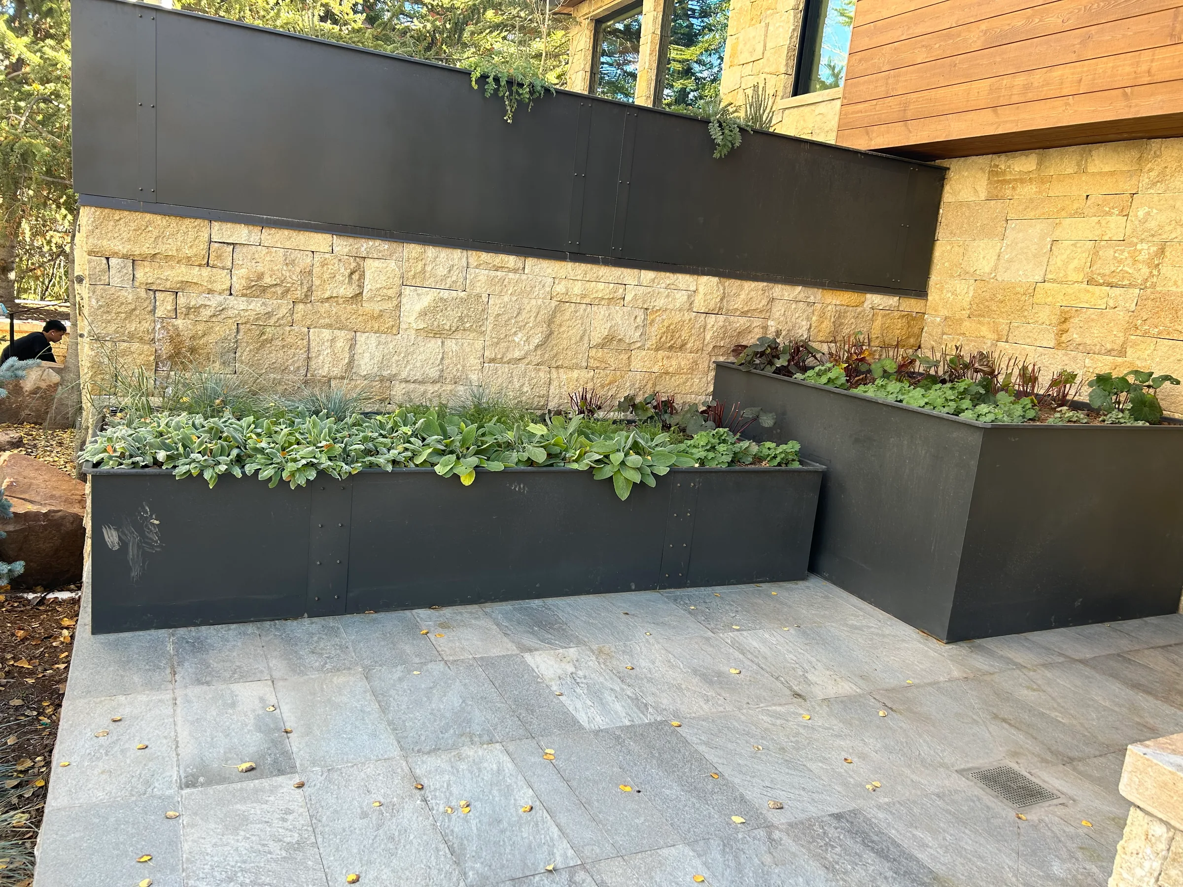 Planters — gallery photograph 10 of 10