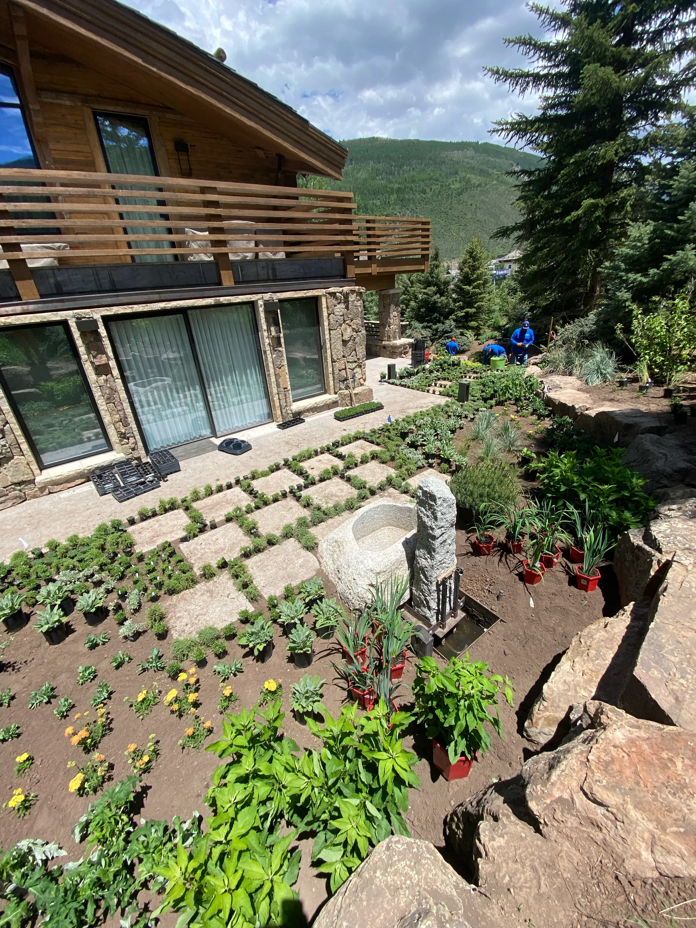 Slopeside Reverie — project photograph 6
