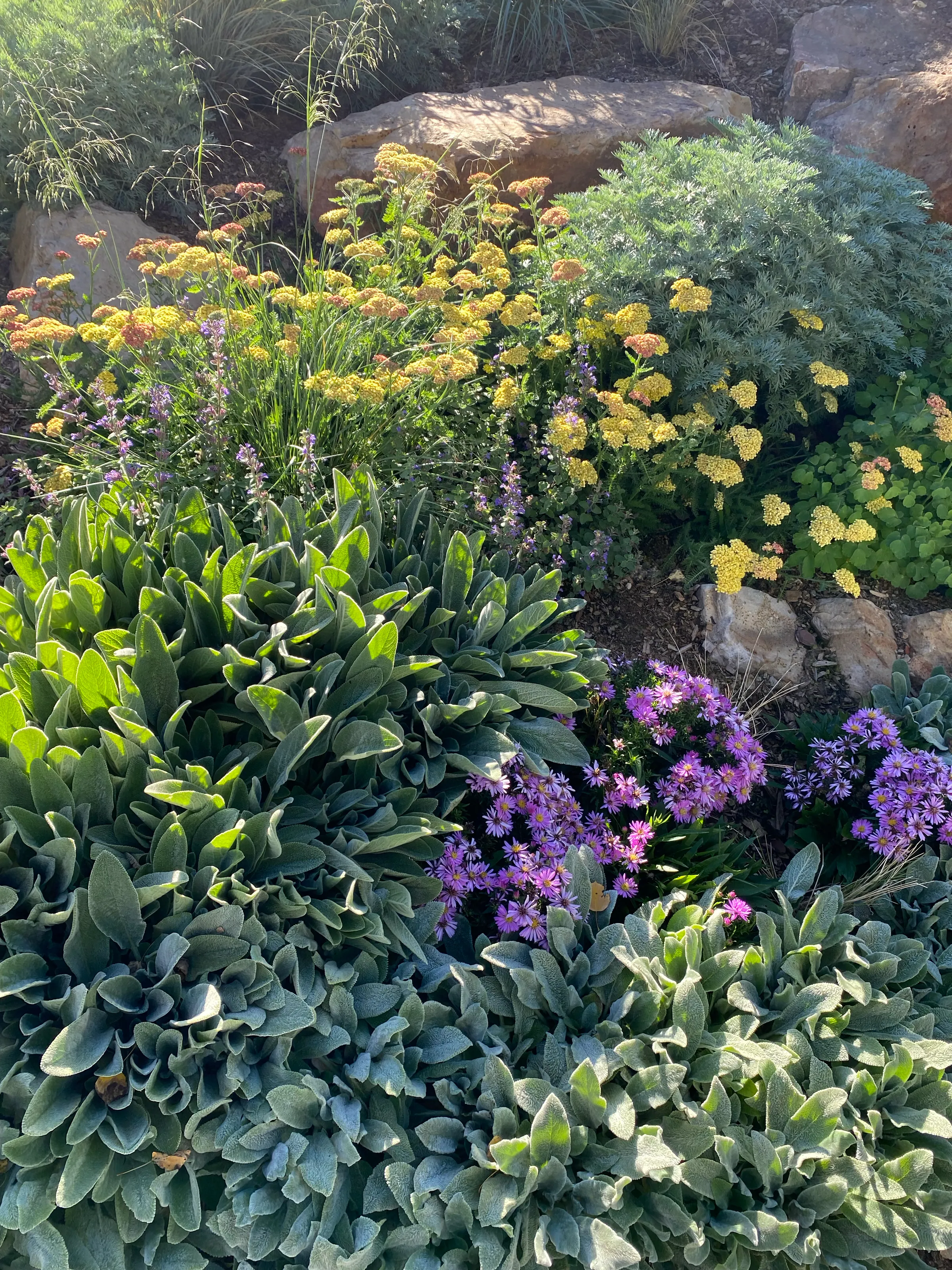 Painterly Ground — project photograph 10