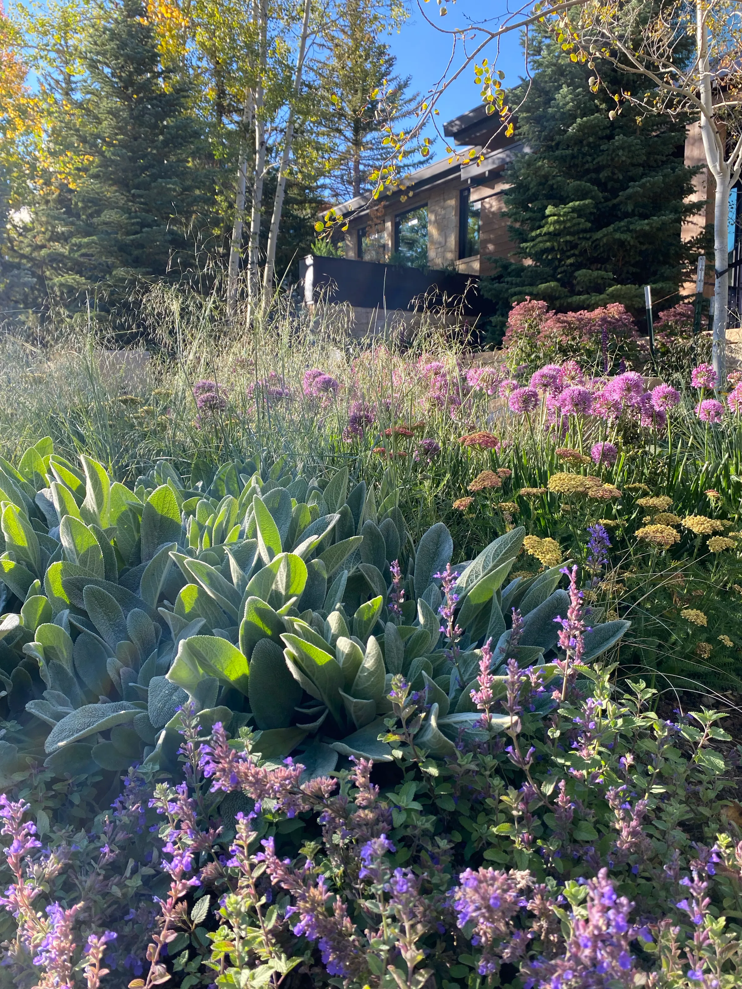 Painterly Ground — project photograph 12