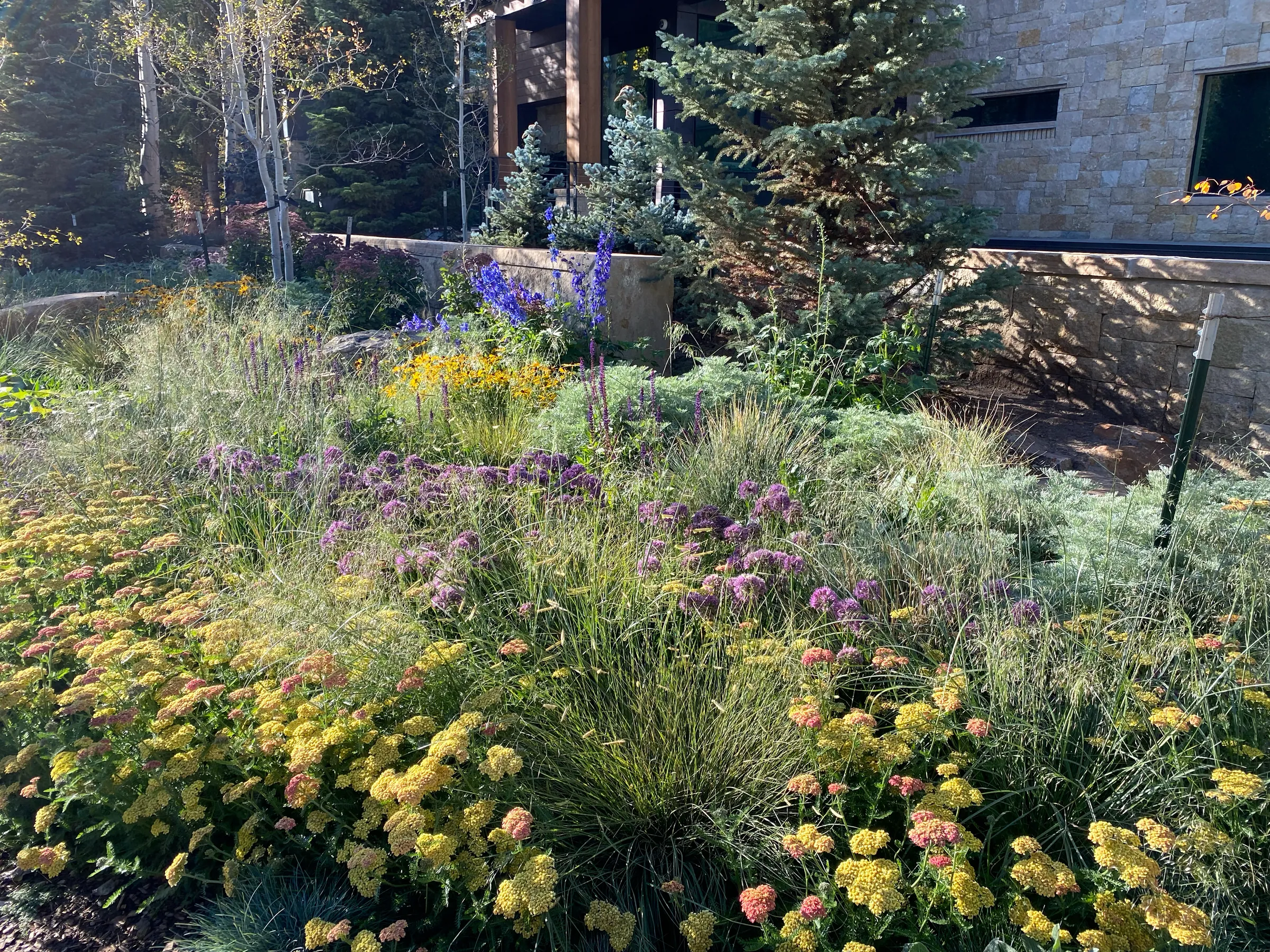 Painterly Ground — project photograph 3