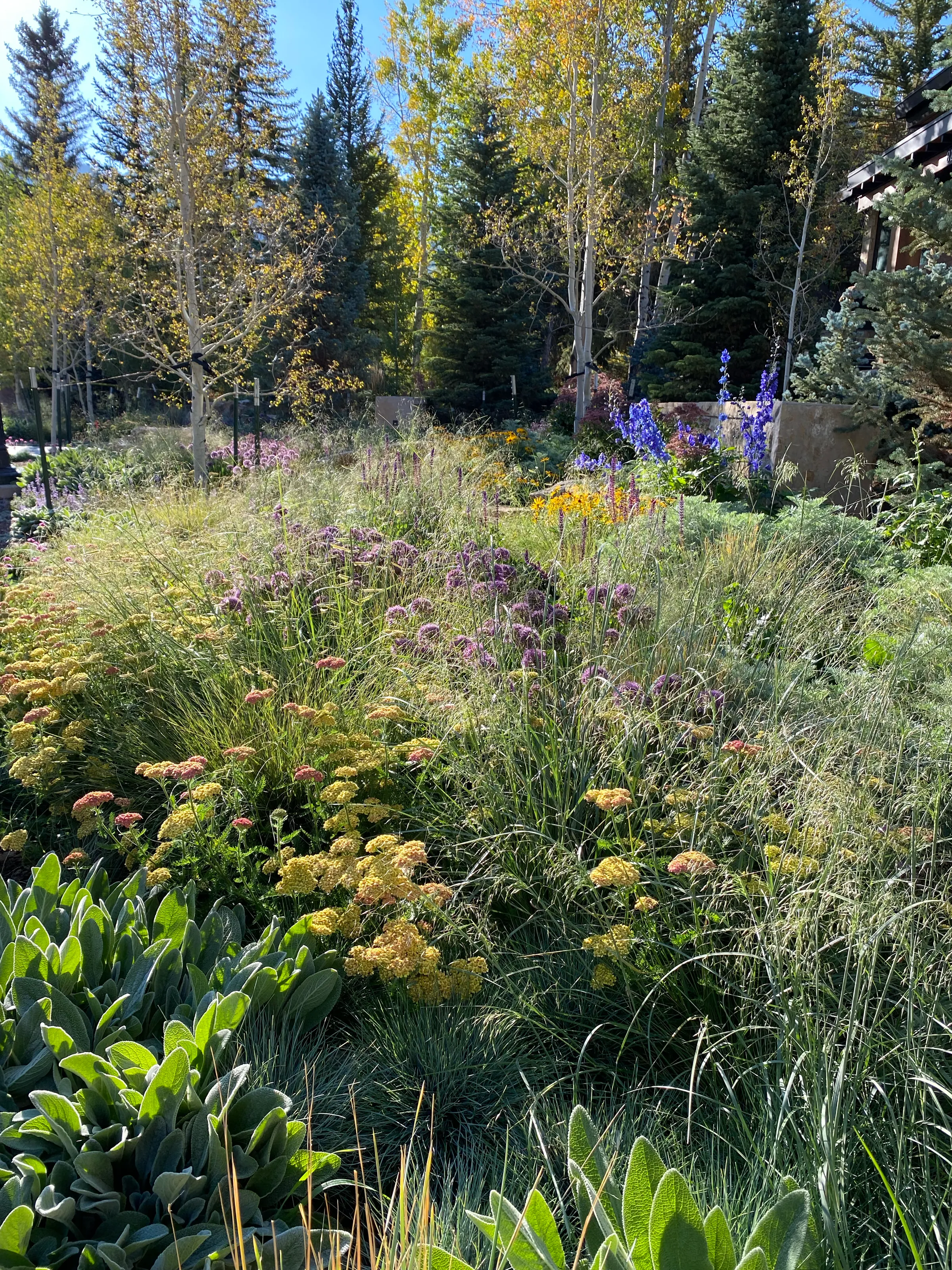 Painterly Ground — project photograph 4