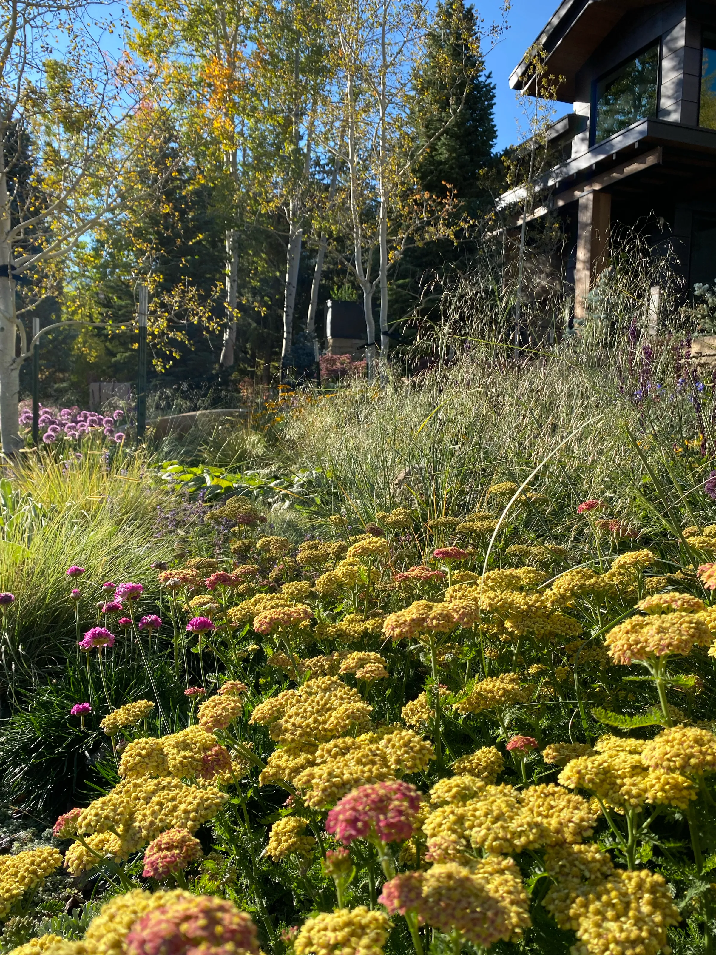 Painterly Ground — project photograph 5