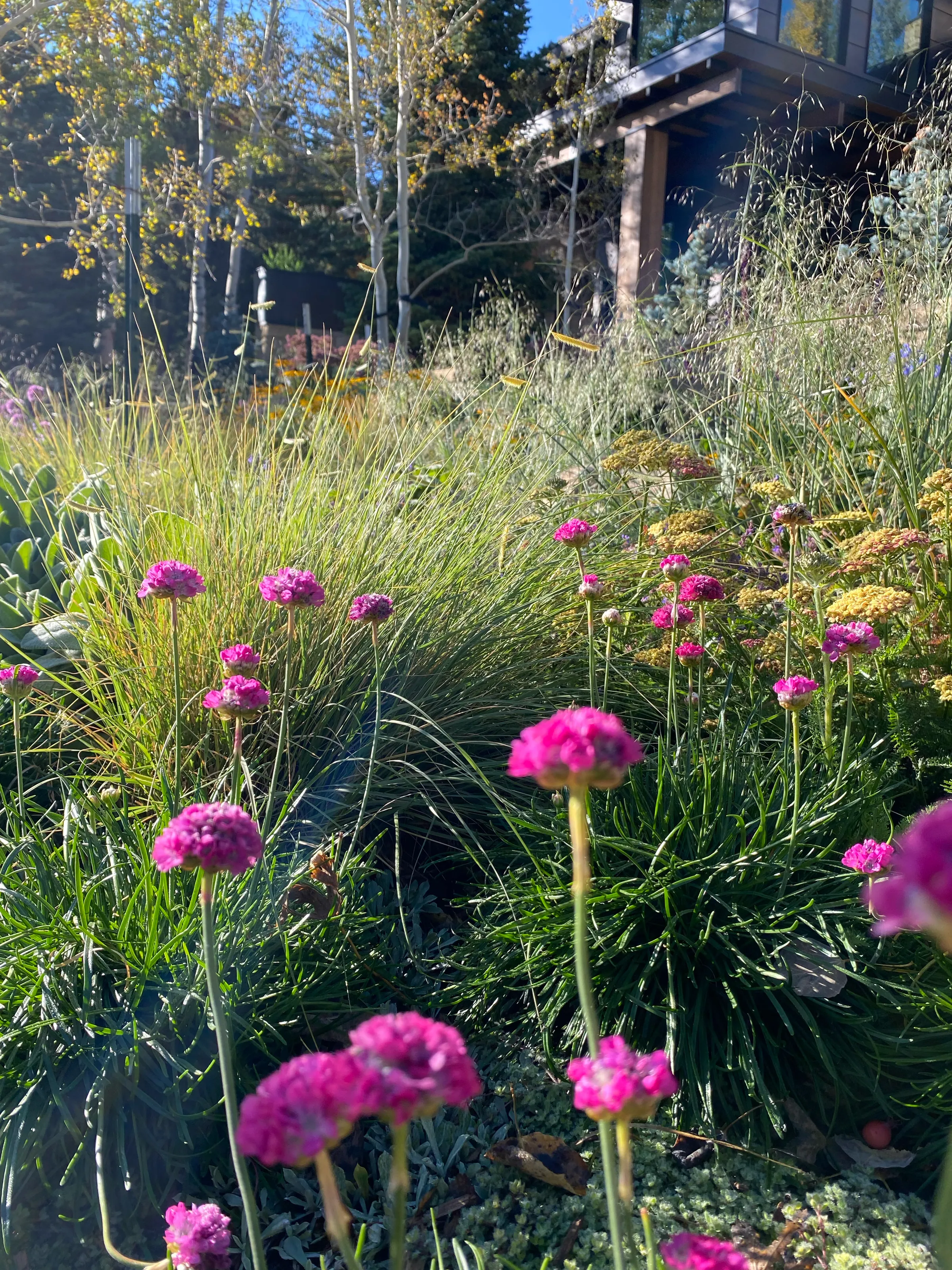 Painterly Ground — project photograph 6