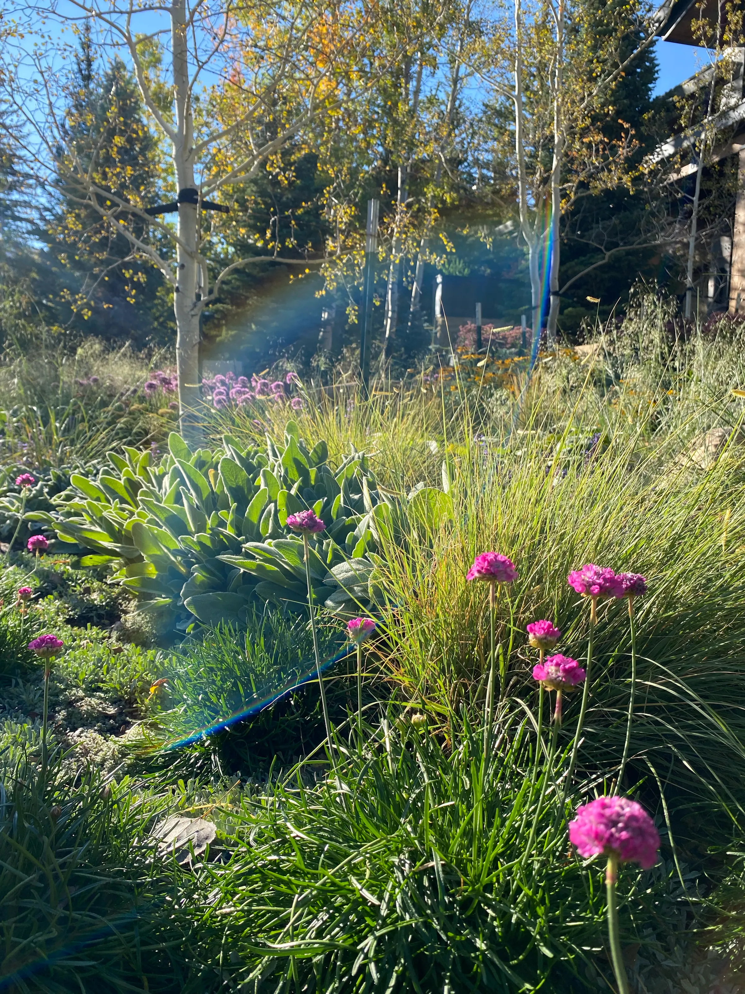Painterly Ground — project photograph 8