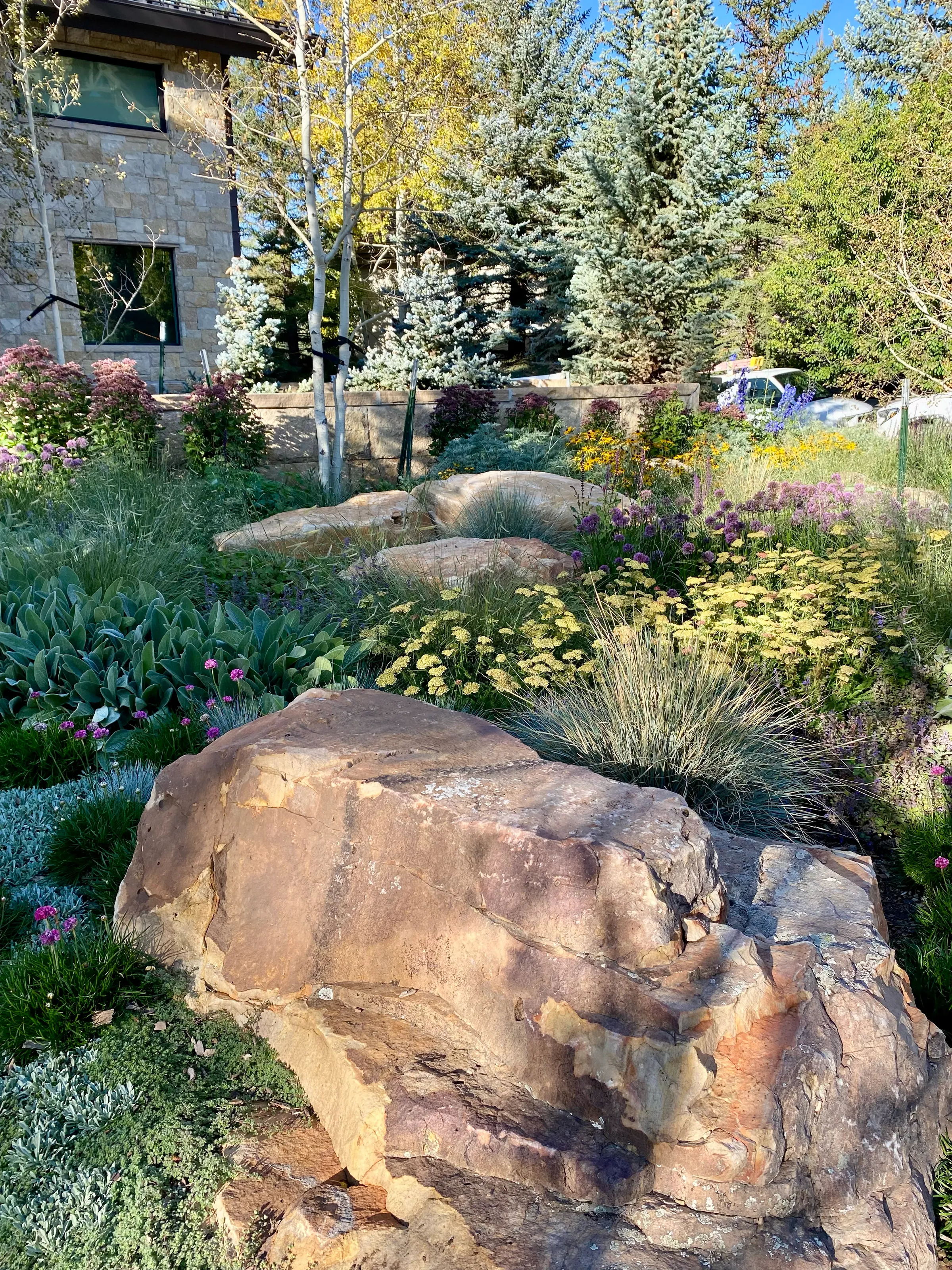 Painterly Ground — project photograph 9