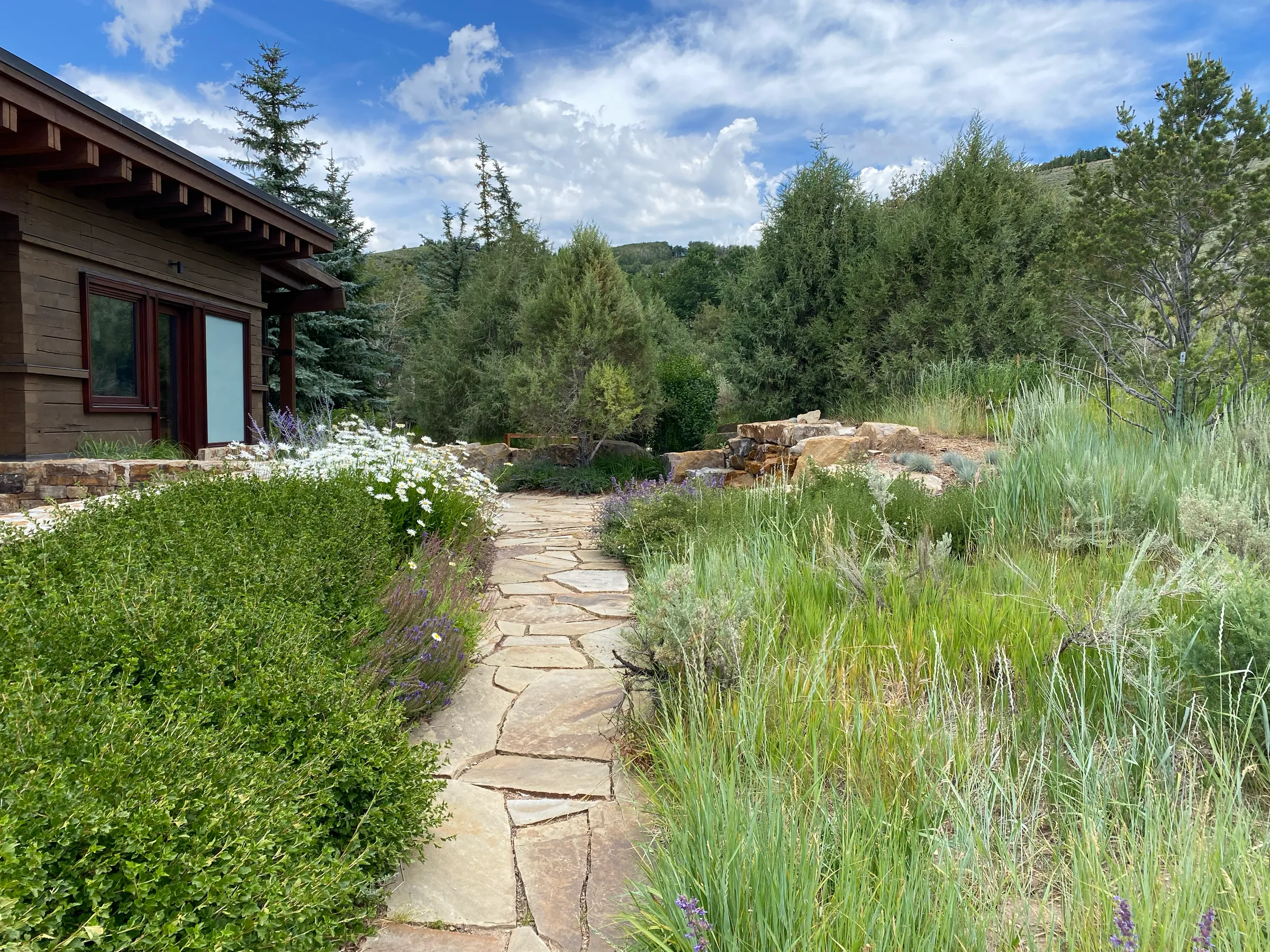 High Desert Balance — project photograph 6