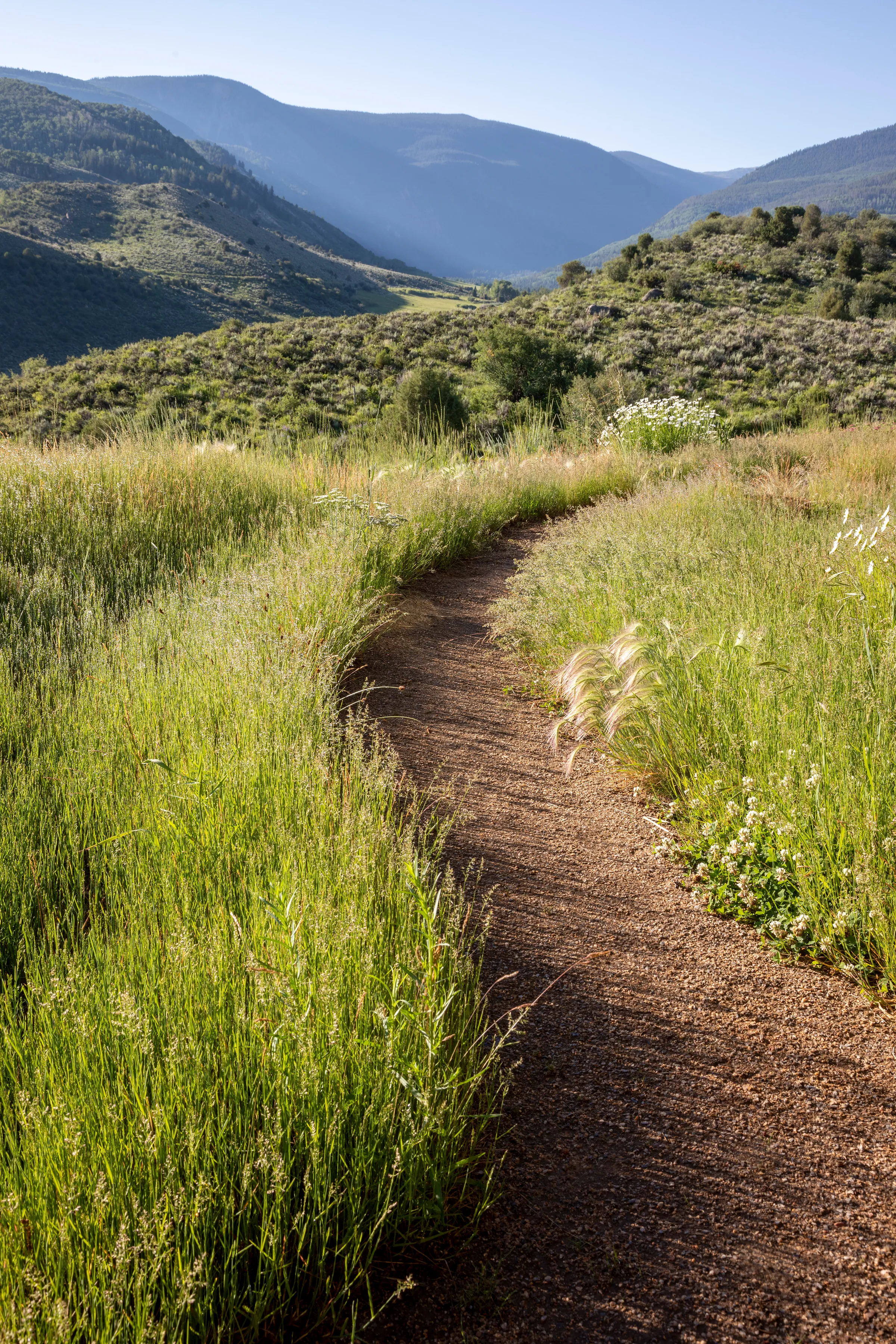 Measured Wild — project photograph 24