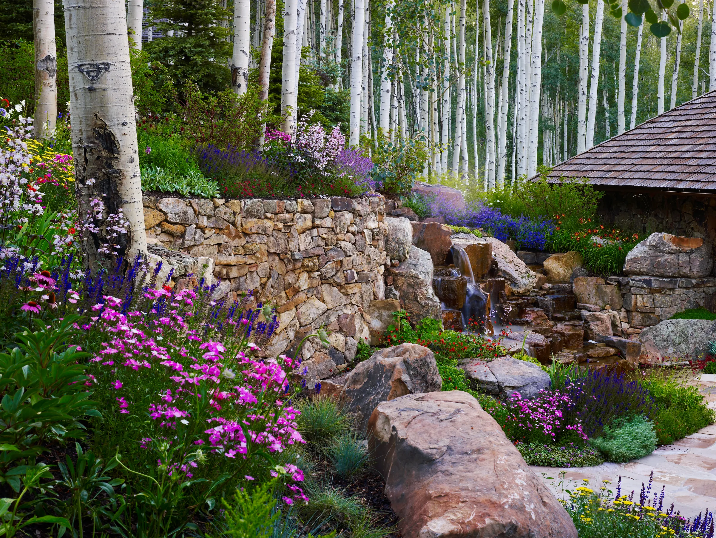 Understory & Stone — featured project photograph