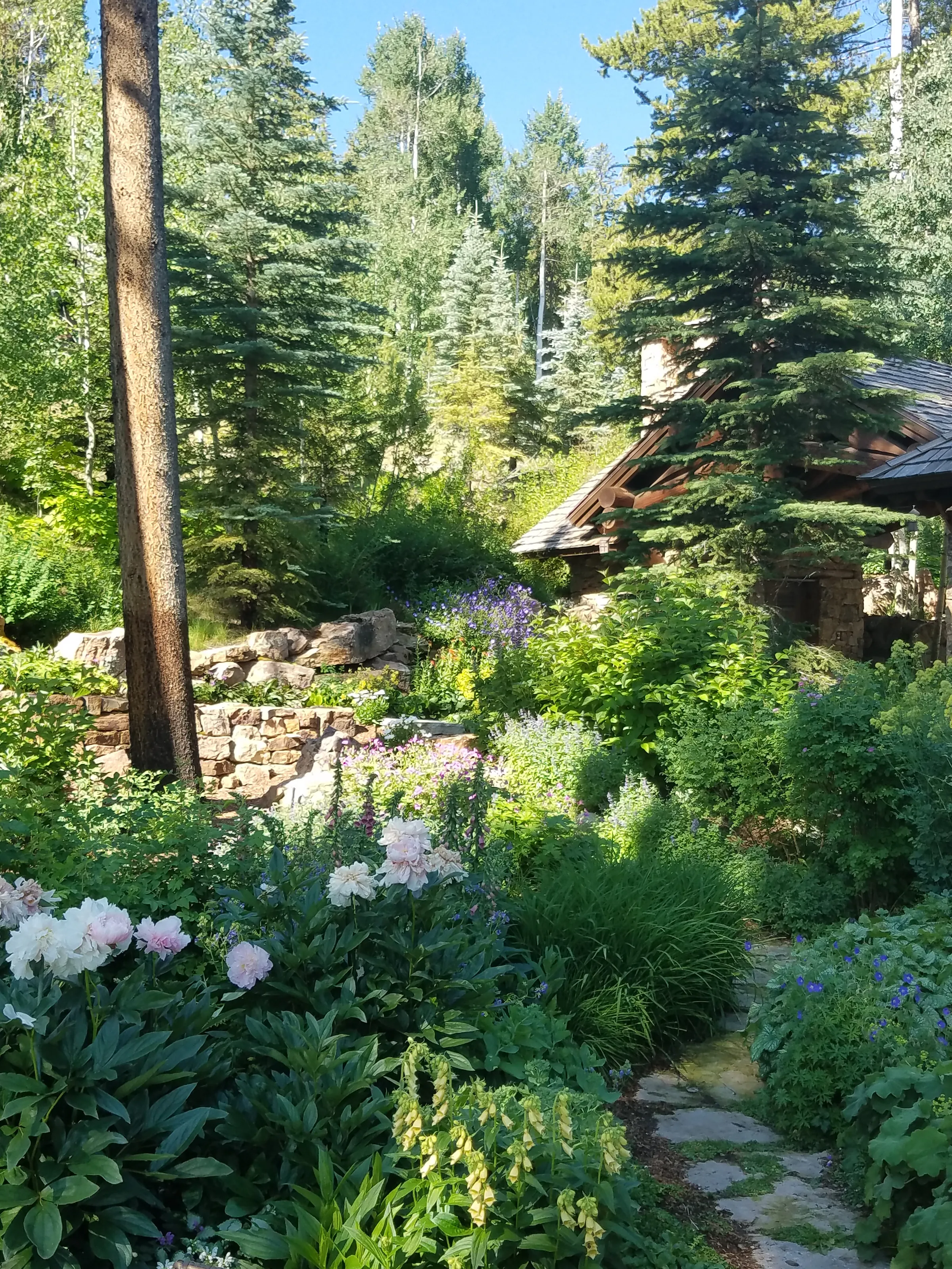 Understory & Stone — project photograph 8