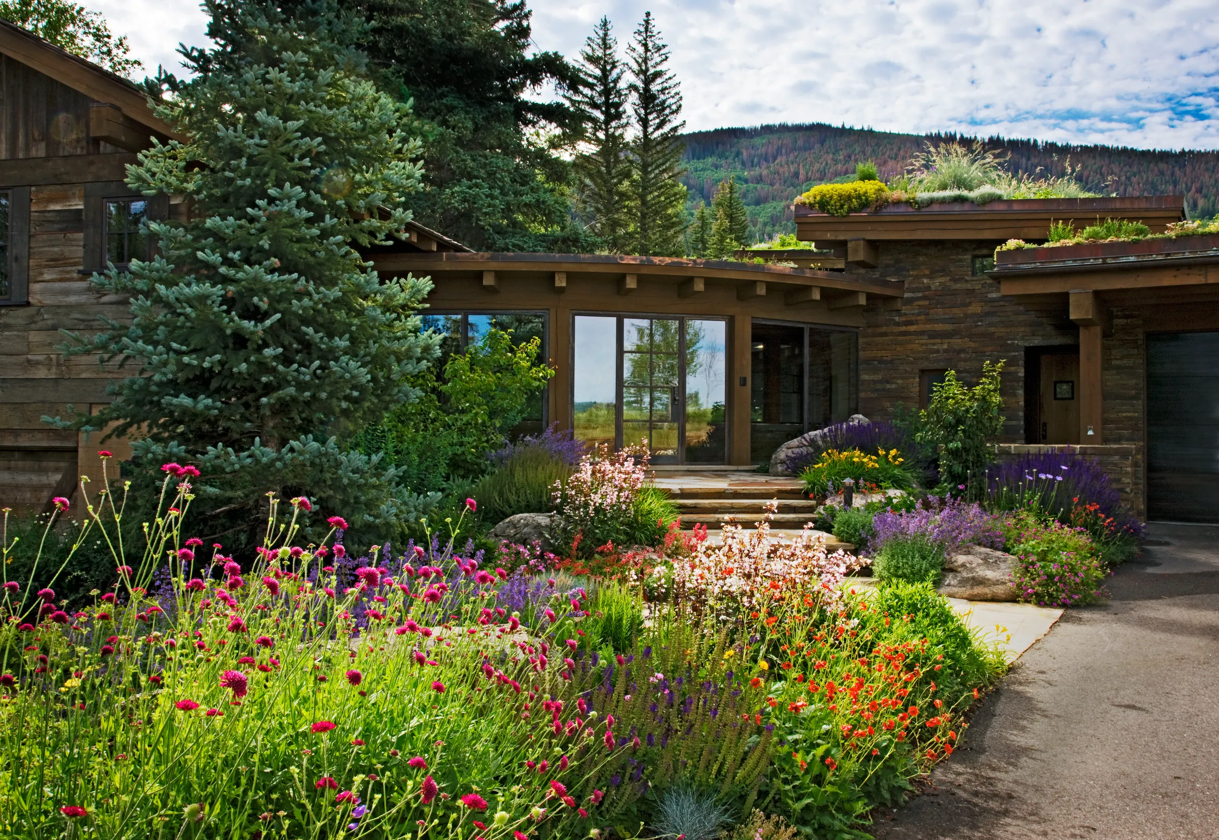 Emergent Meadow House