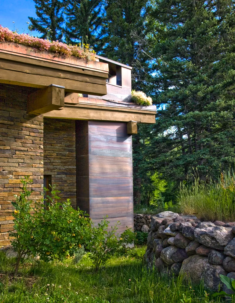 Emergent Meadow House — project photograph 9