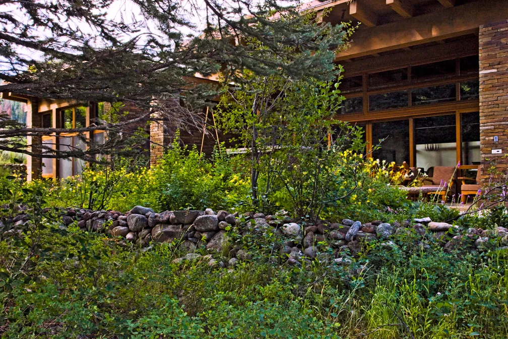 Emergent Meadow House — project photograph 11