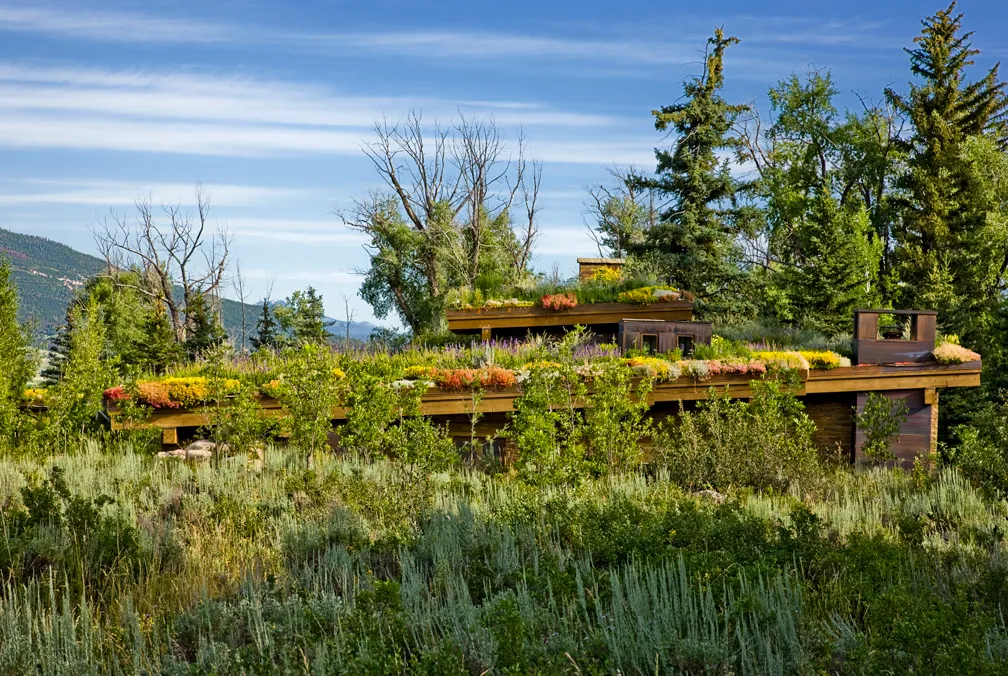 Emergent Meadow House — project photograph 13