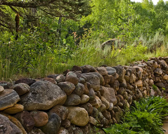 Emergent Meadow House — project photograph 14