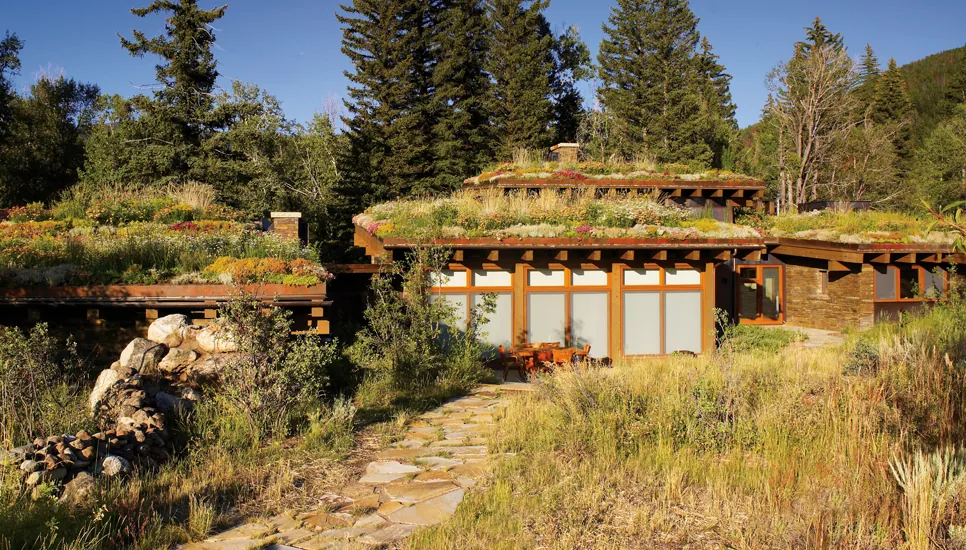 Emergent Meadow House — project photograph 15