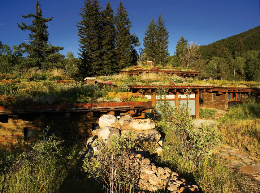 Emergent Meadow House — project photograph 16