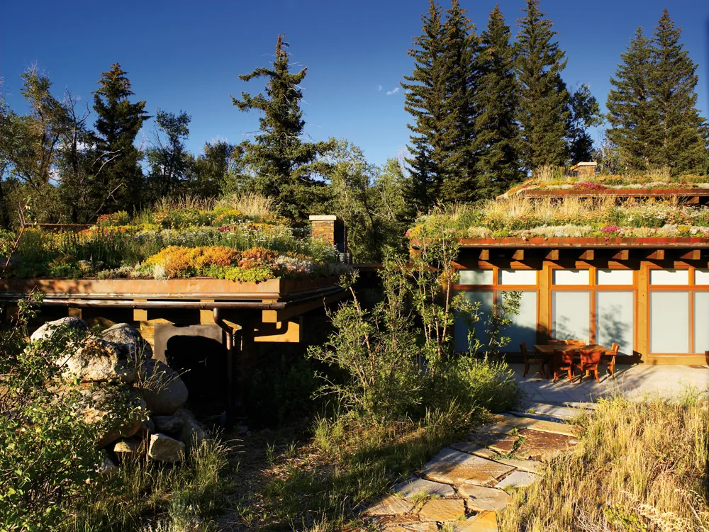 Emergent Meadow House — project photograph 17
