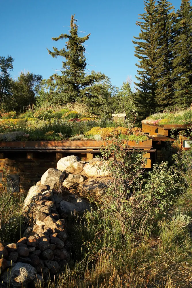Emergent Meadow House — project photograph 18