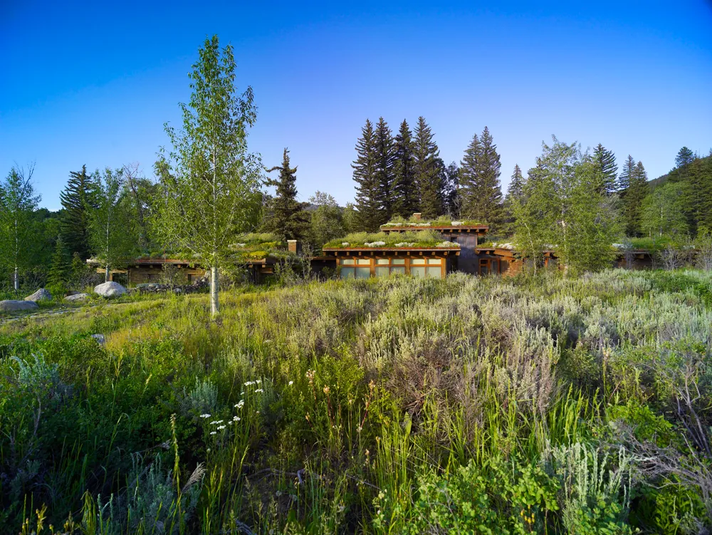 Emergent Meadow House — project photograph 1