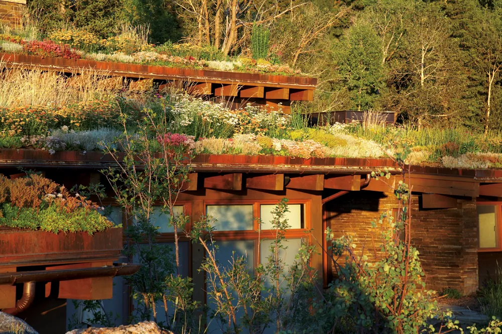 Emergent Meadow House — project photograph 19