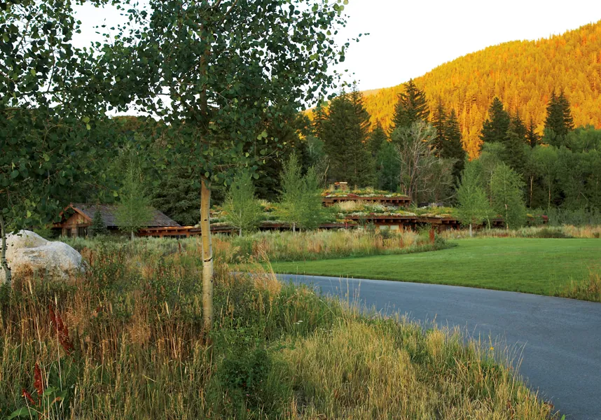 Emergent Meadow House — project photograph 20