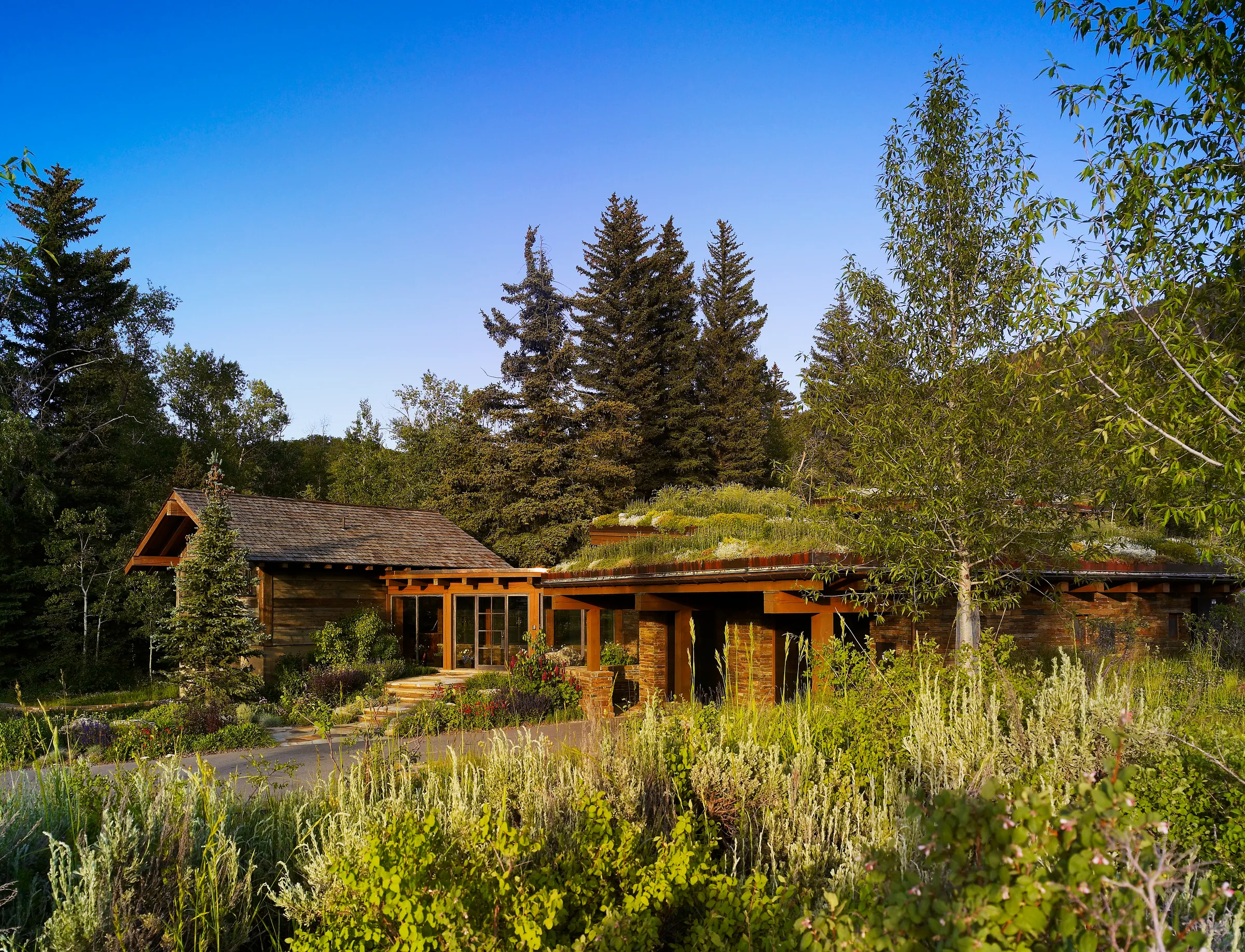 Emergent Meadow House — project photograph 2