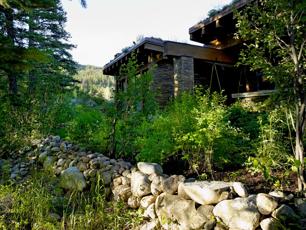 Emergent Meadow House — project photograph 7
