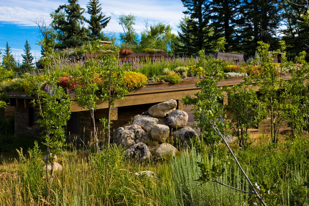 Emergent Meadow House — project photograph 8