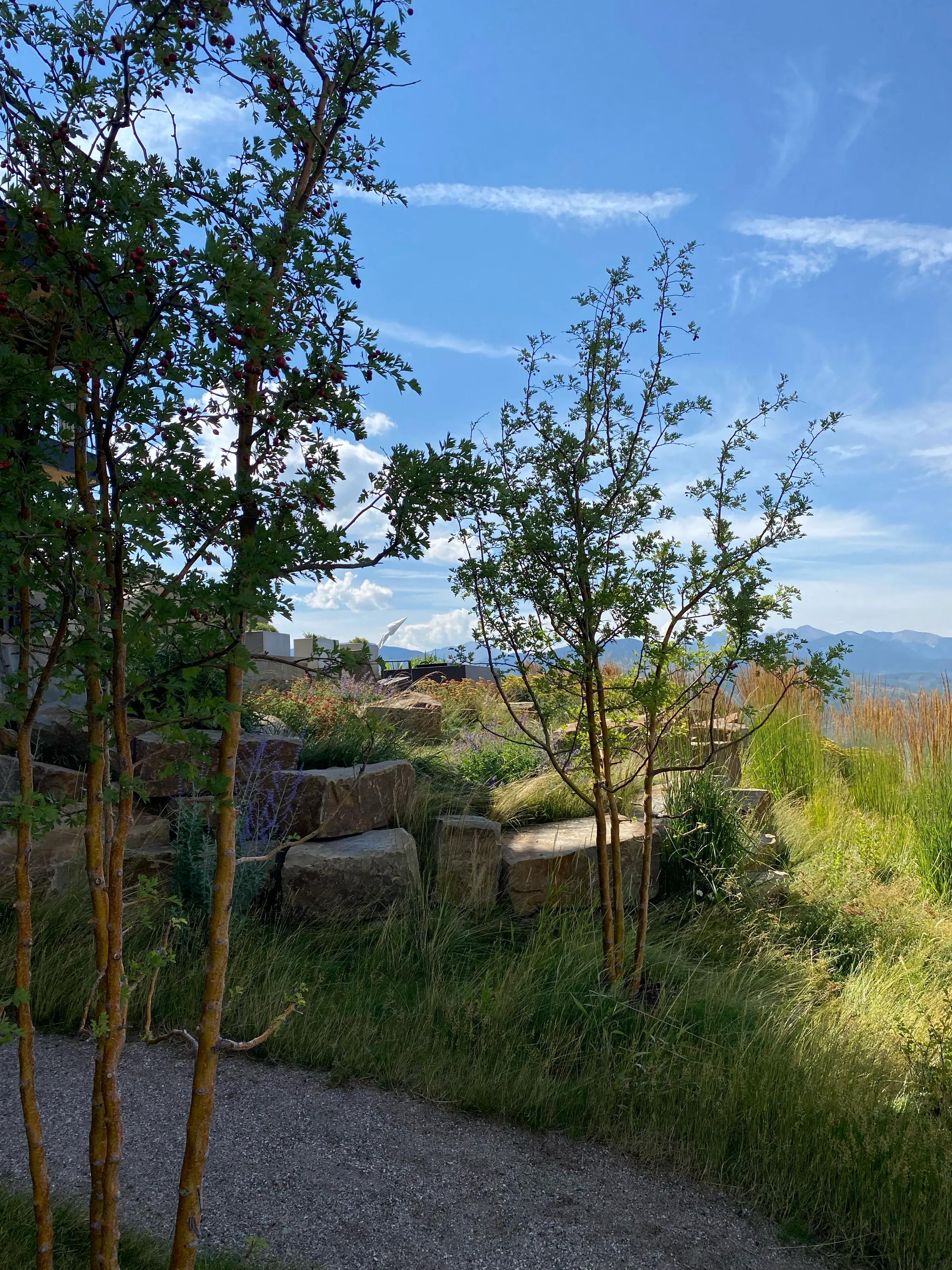 At The Crest — project photograph 14