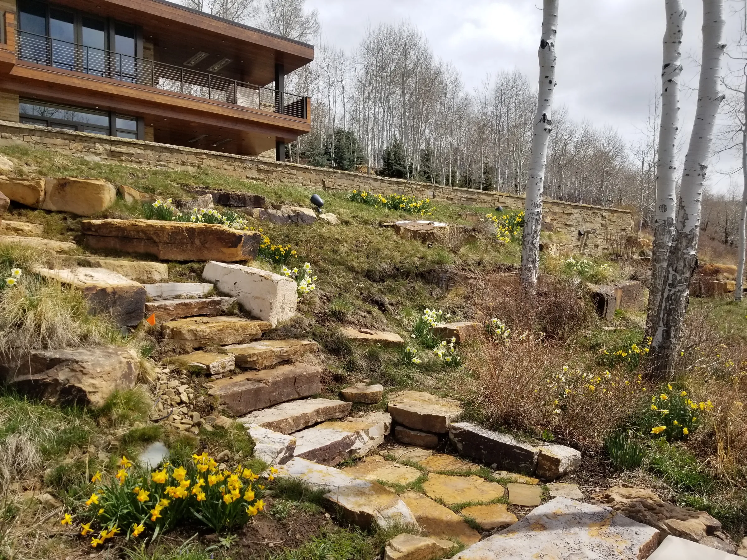 Terraced Horizon — project photograph 11